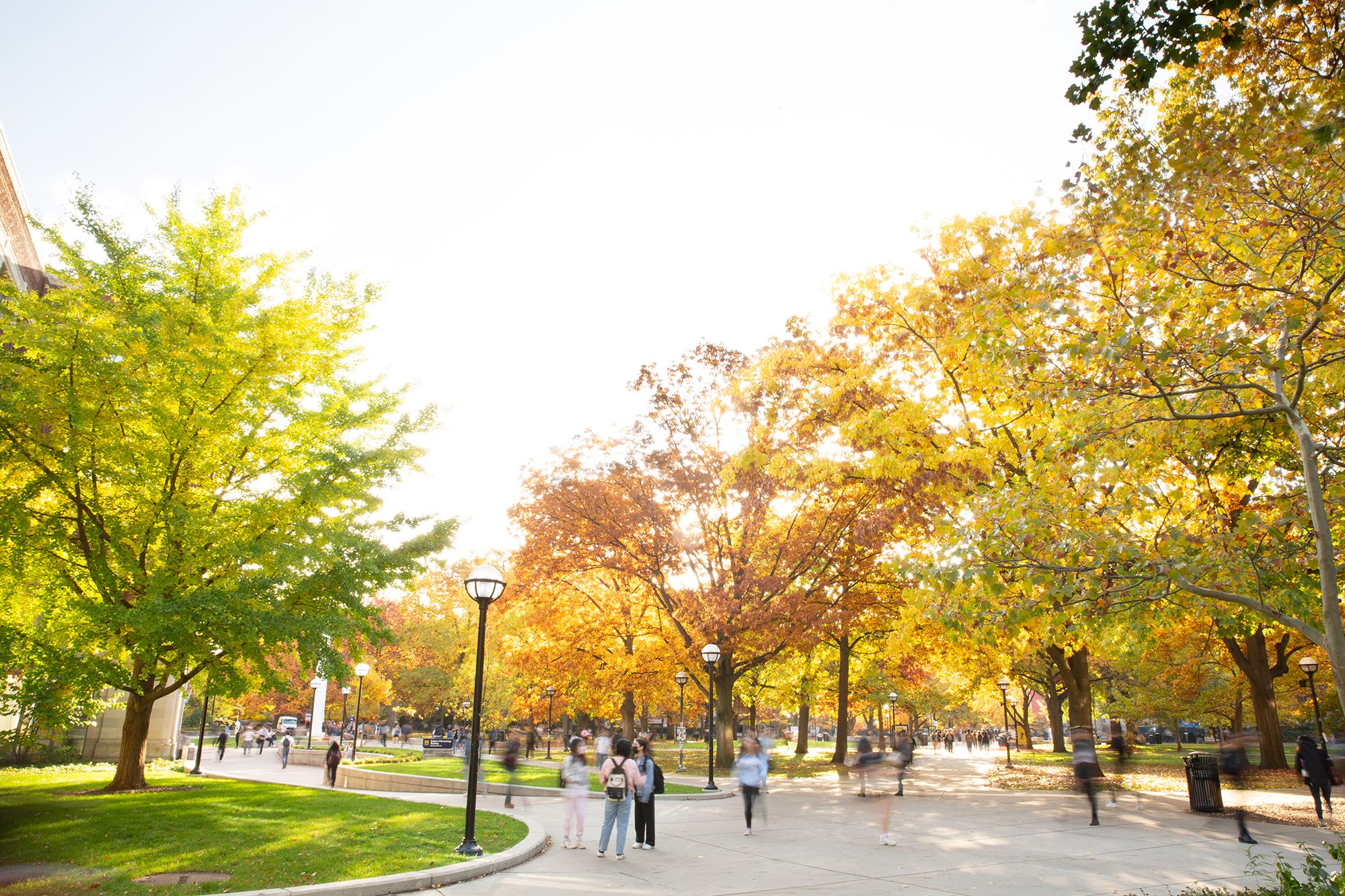 university campus