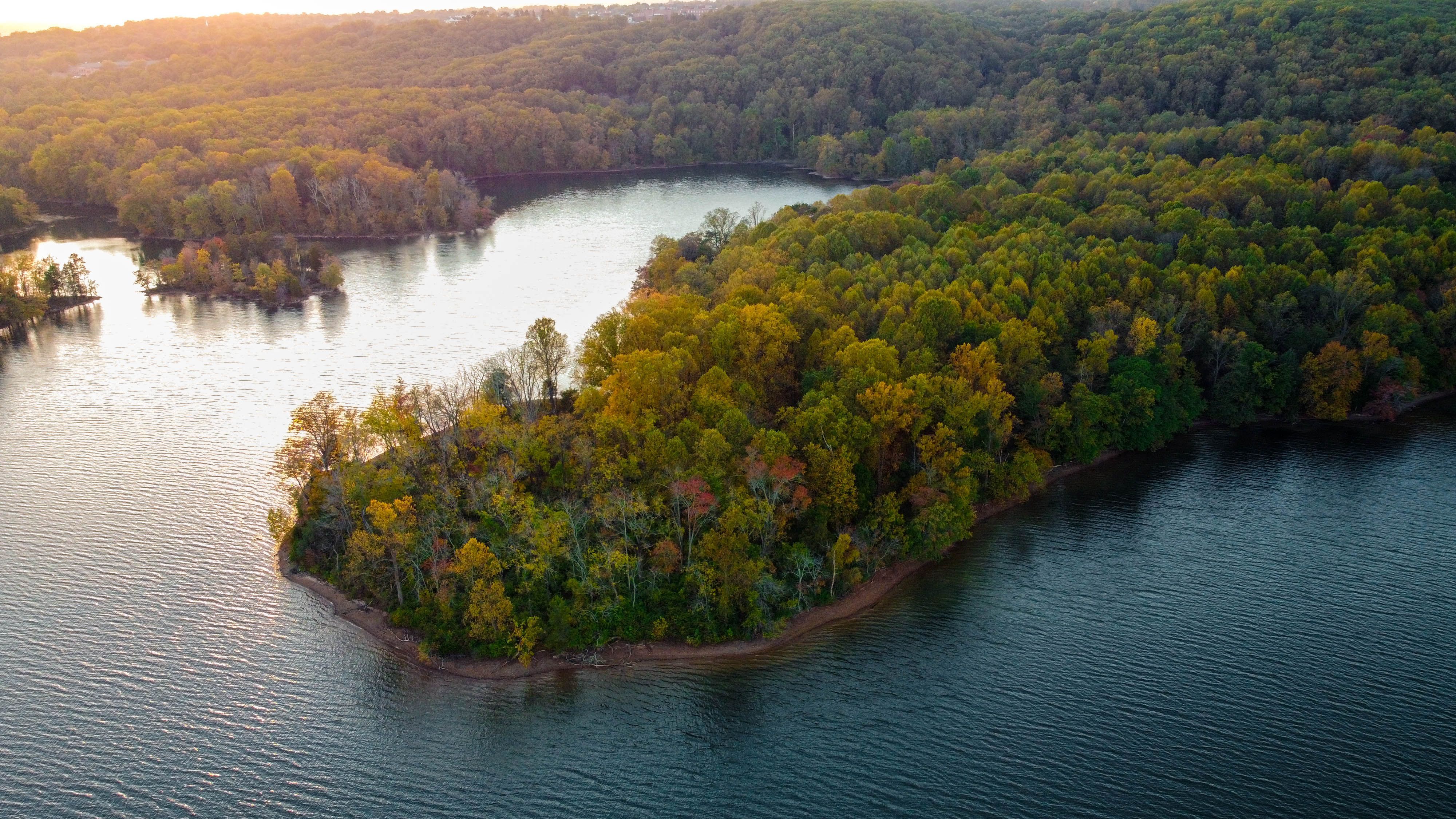 Aerial view of a lush green forest on the shore of Loch Raven Lake in Maryland