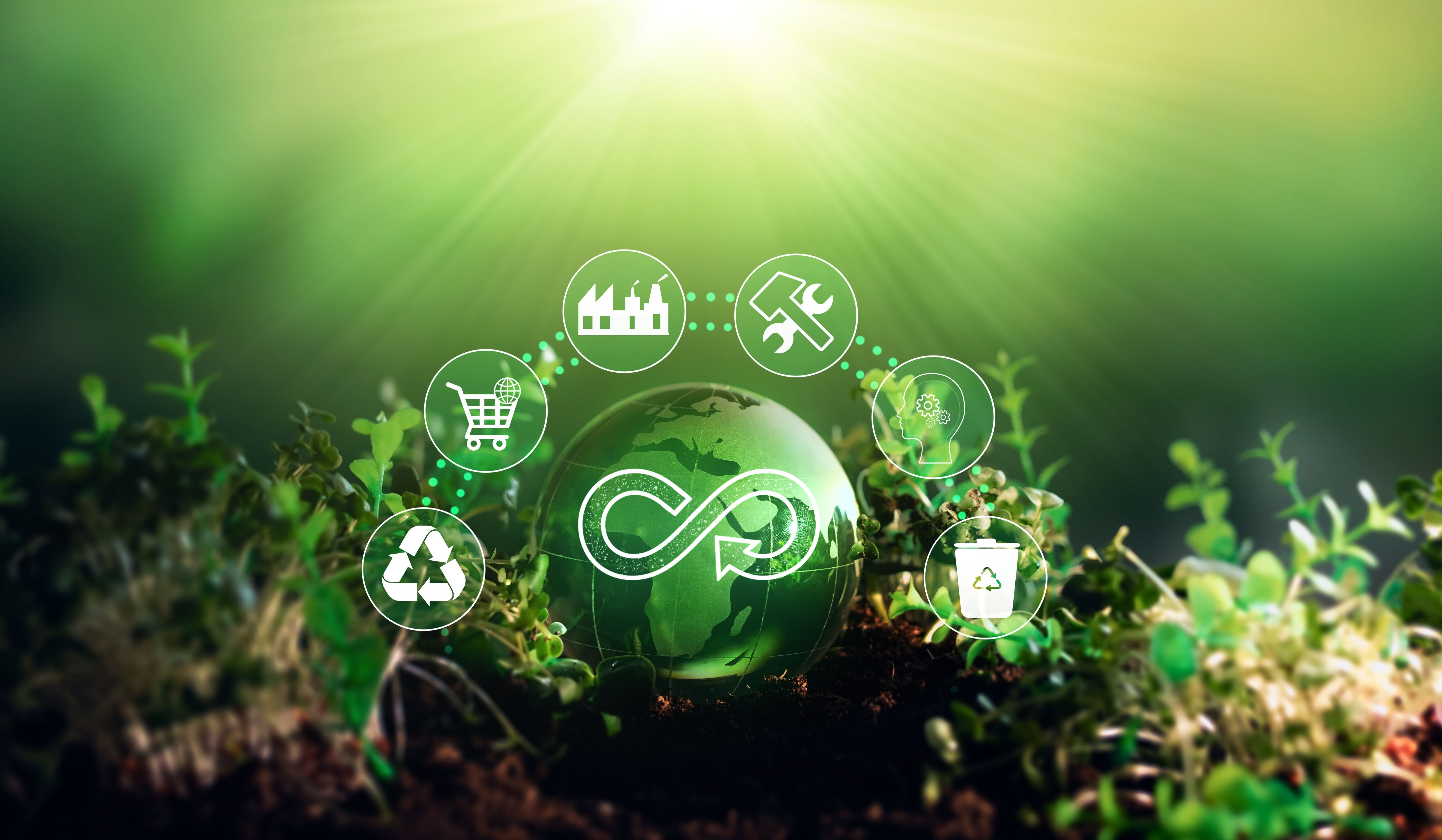 How to Implement Effective Sustainability Practices in Your Business