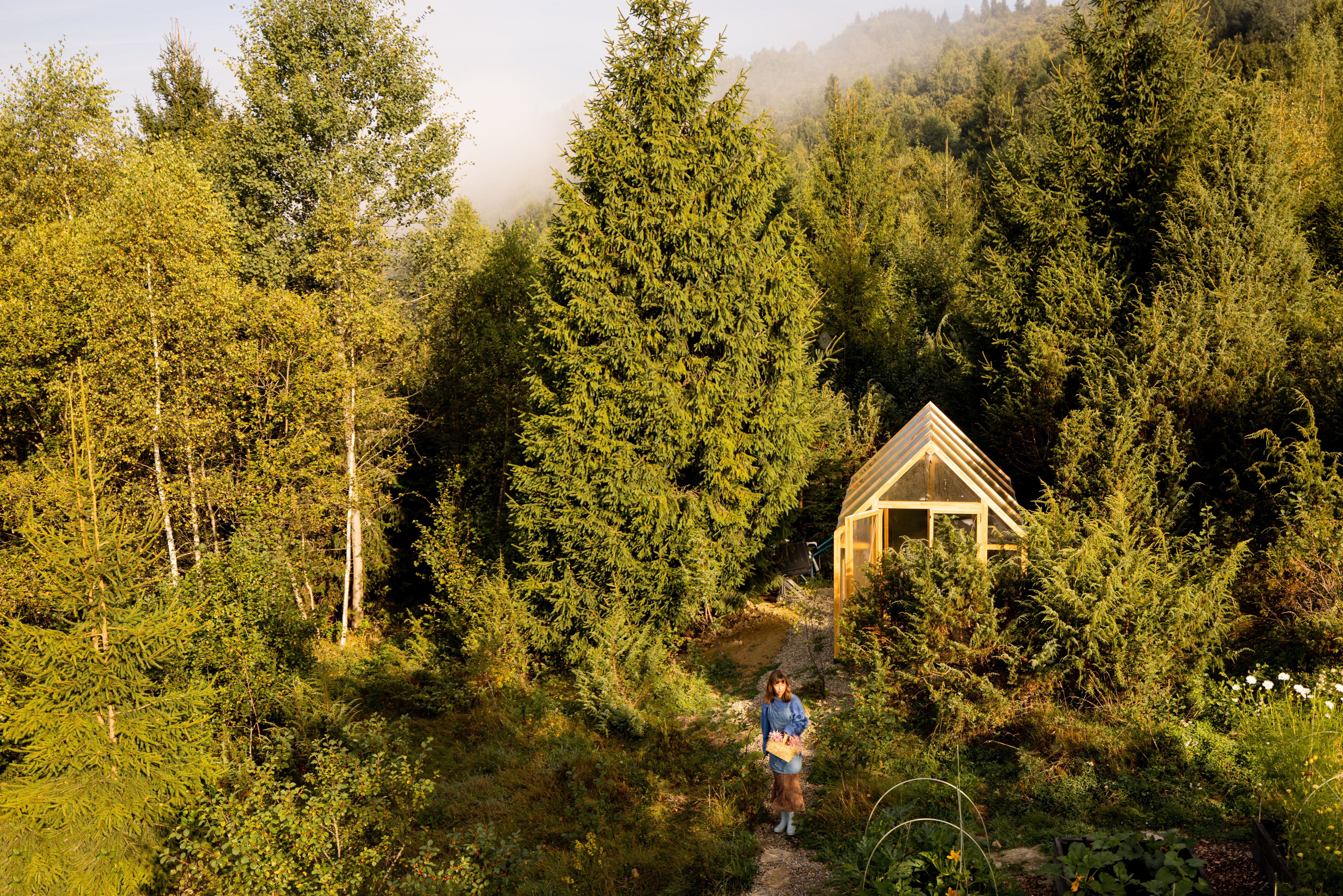 Overlooking the Self-Sustained Garden