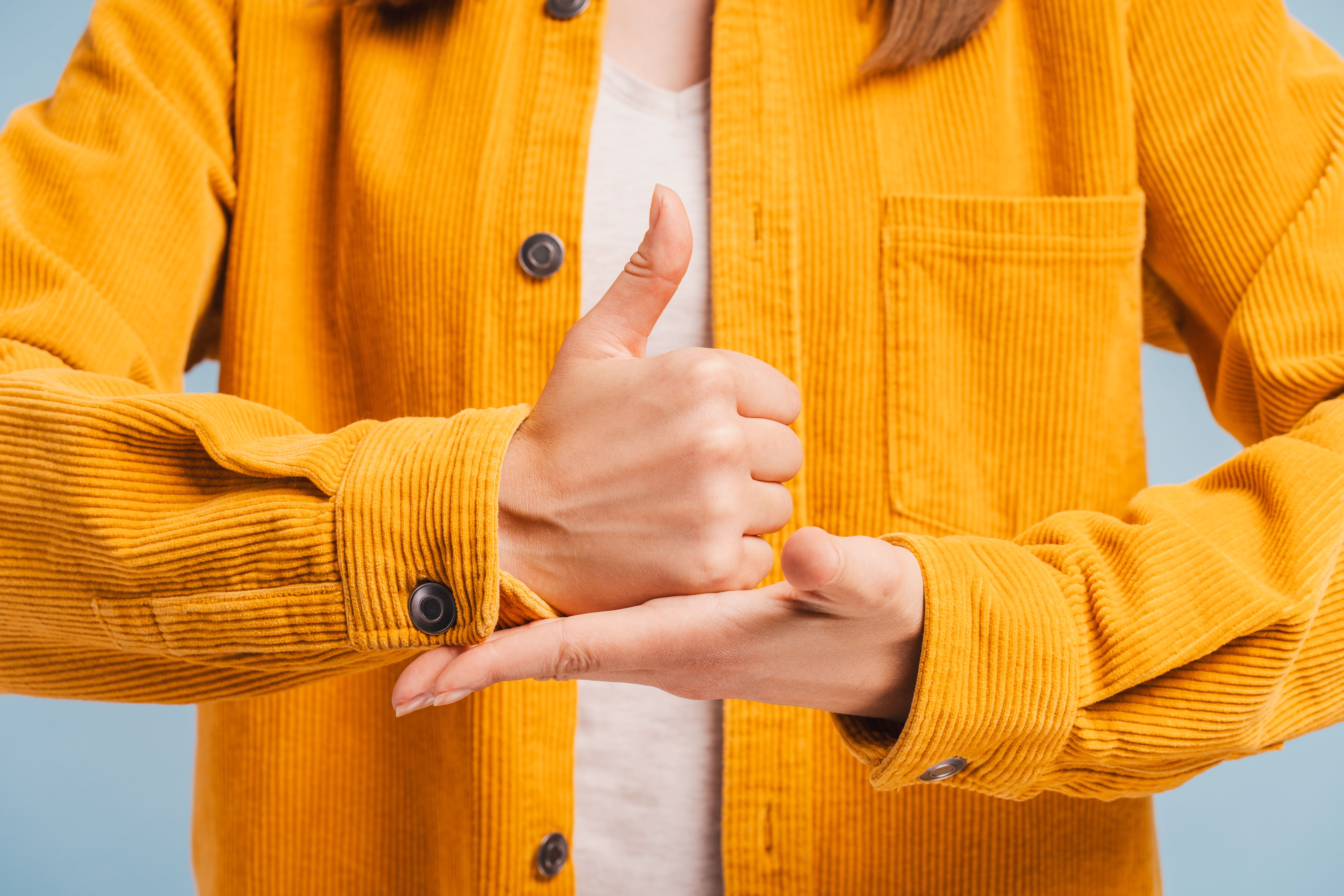 sign language interpreter