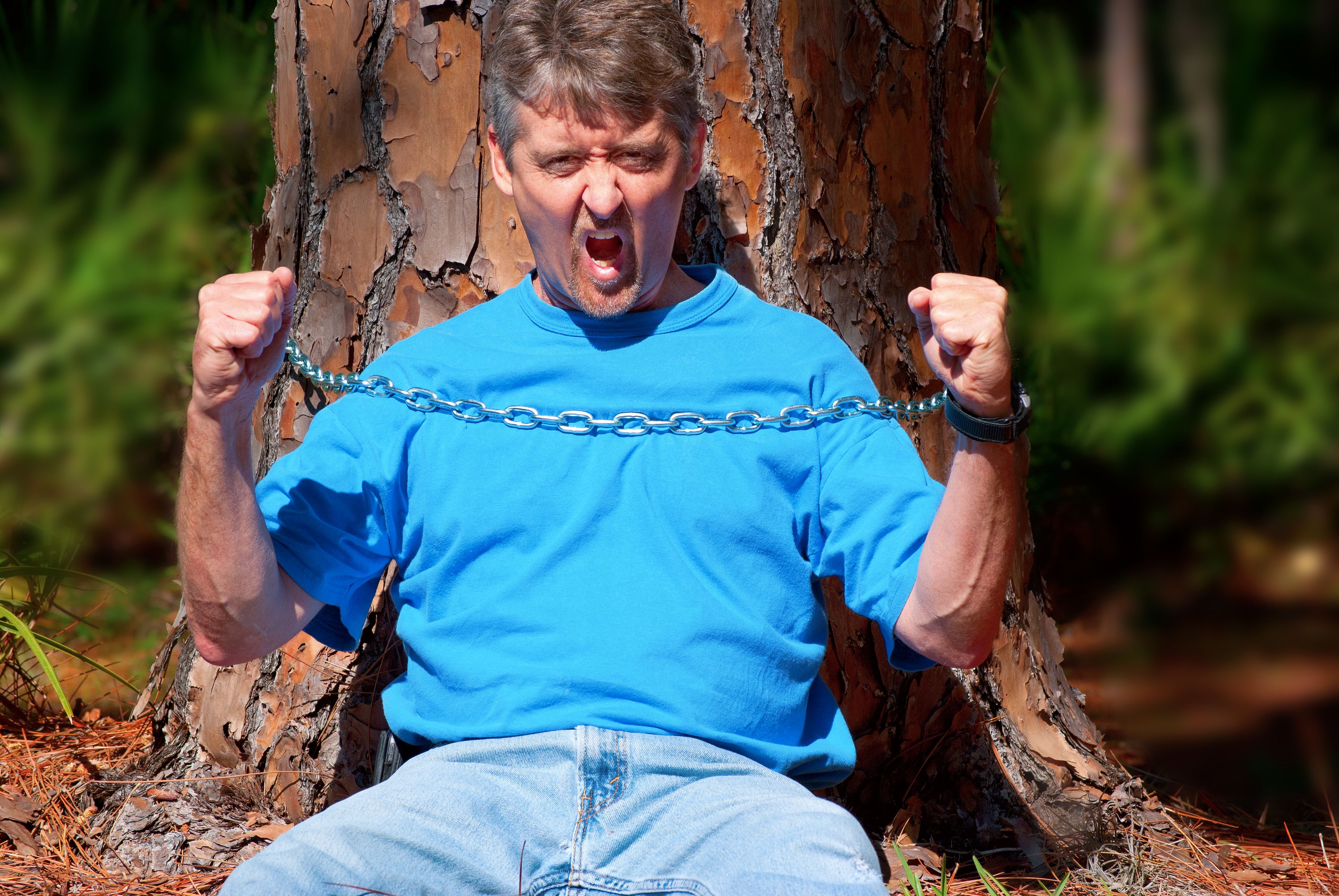 arborist consultation