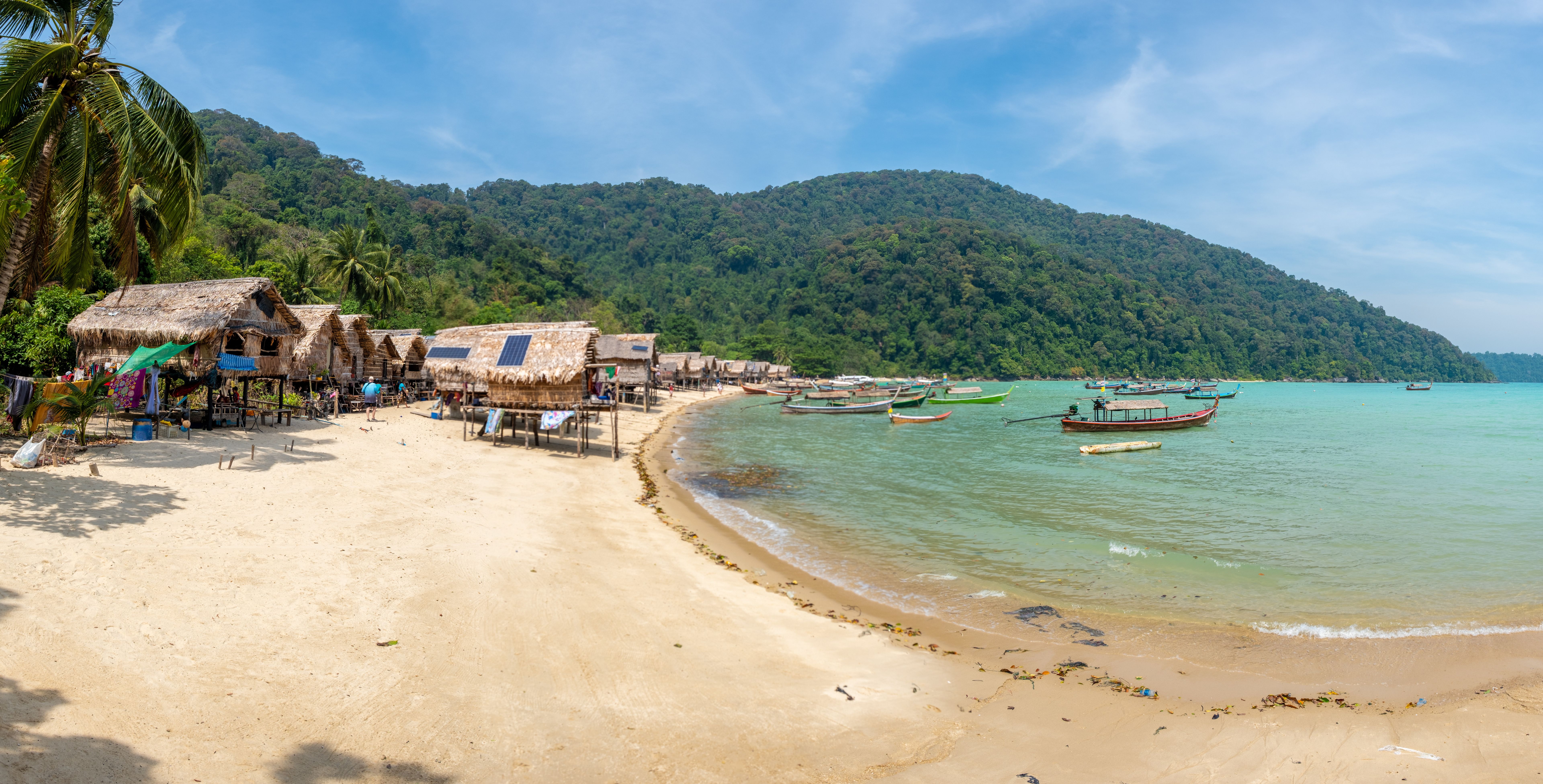 dive community