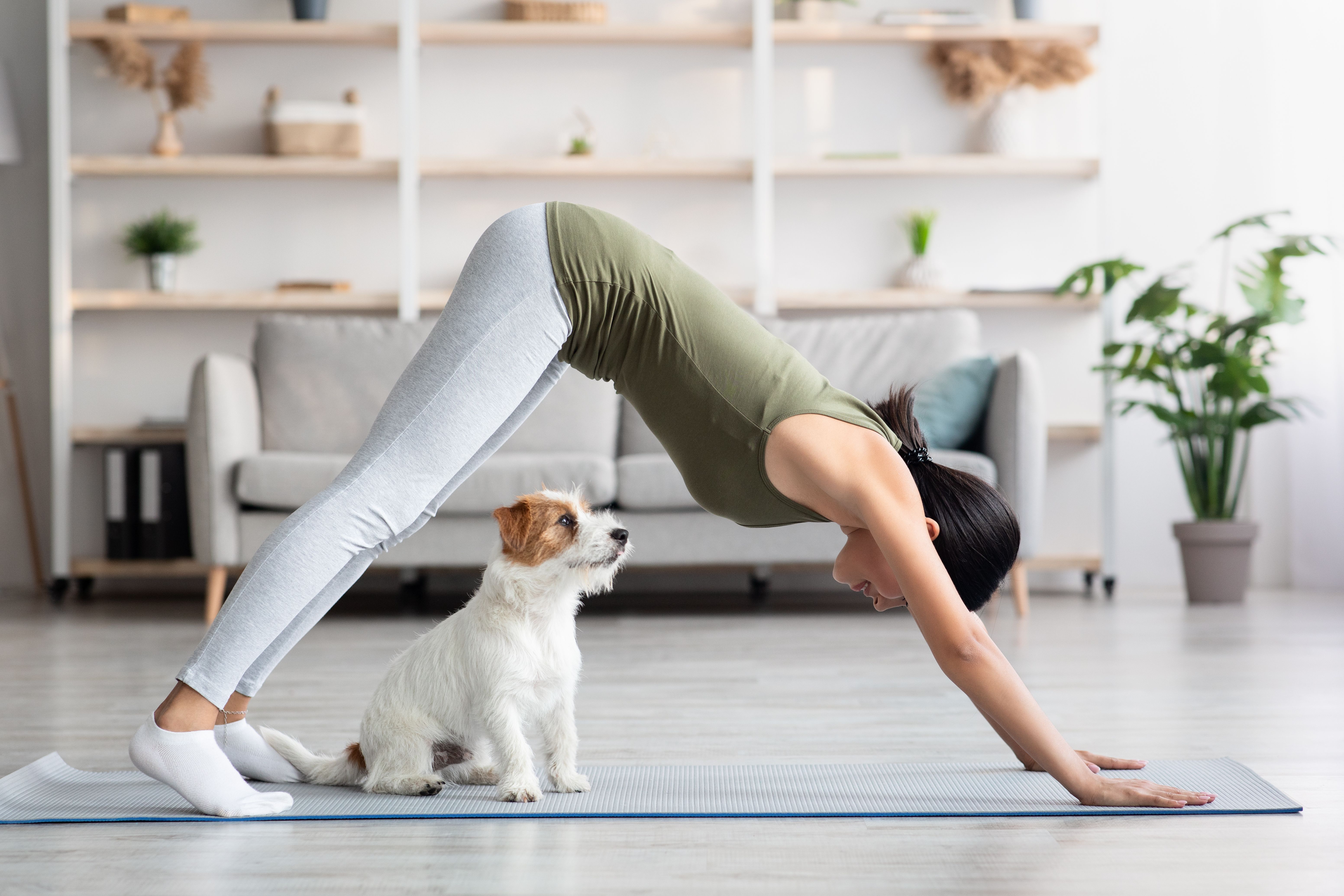 Asian young woman doing yoga with her dog at home