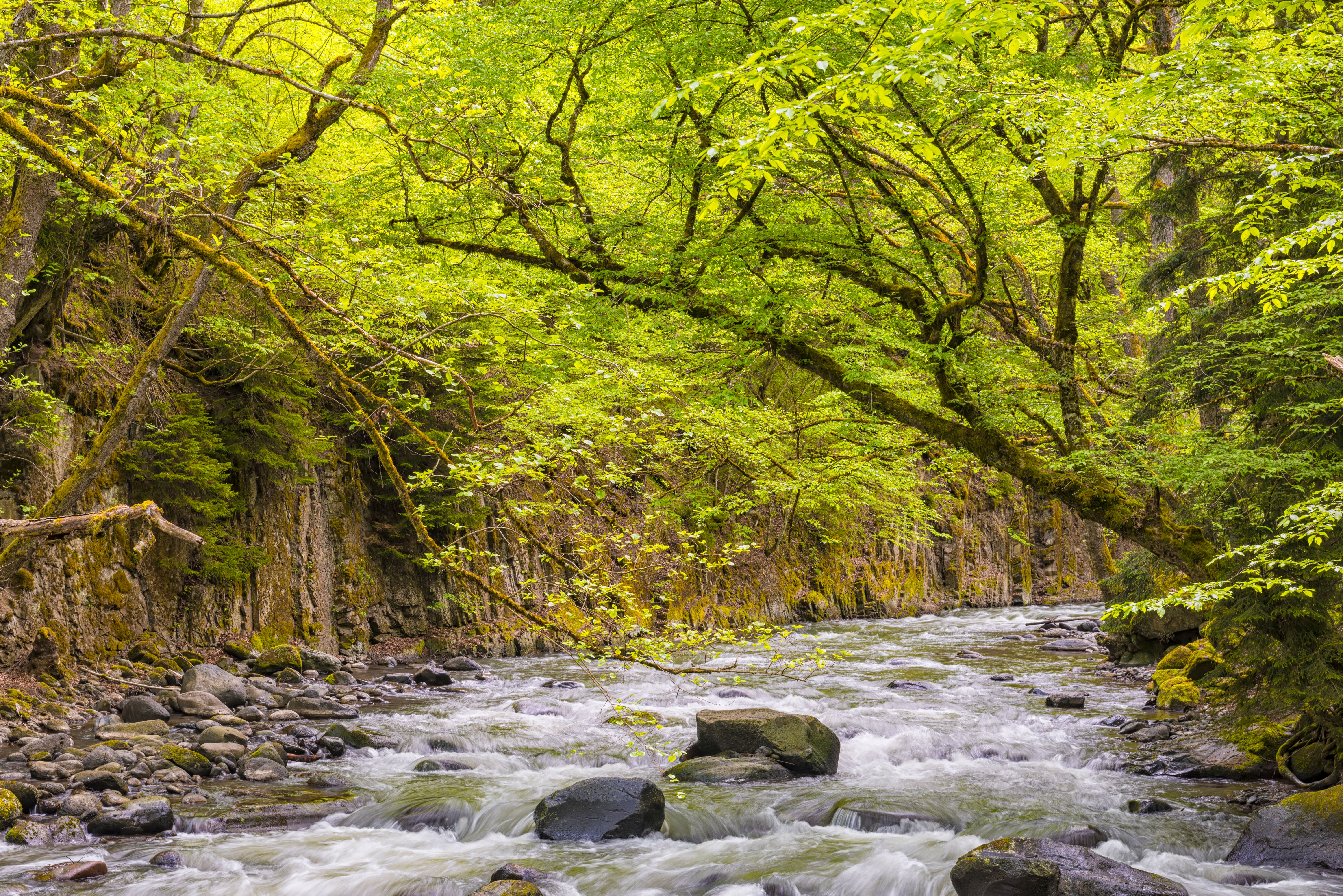 Mineral water park in Borjomi