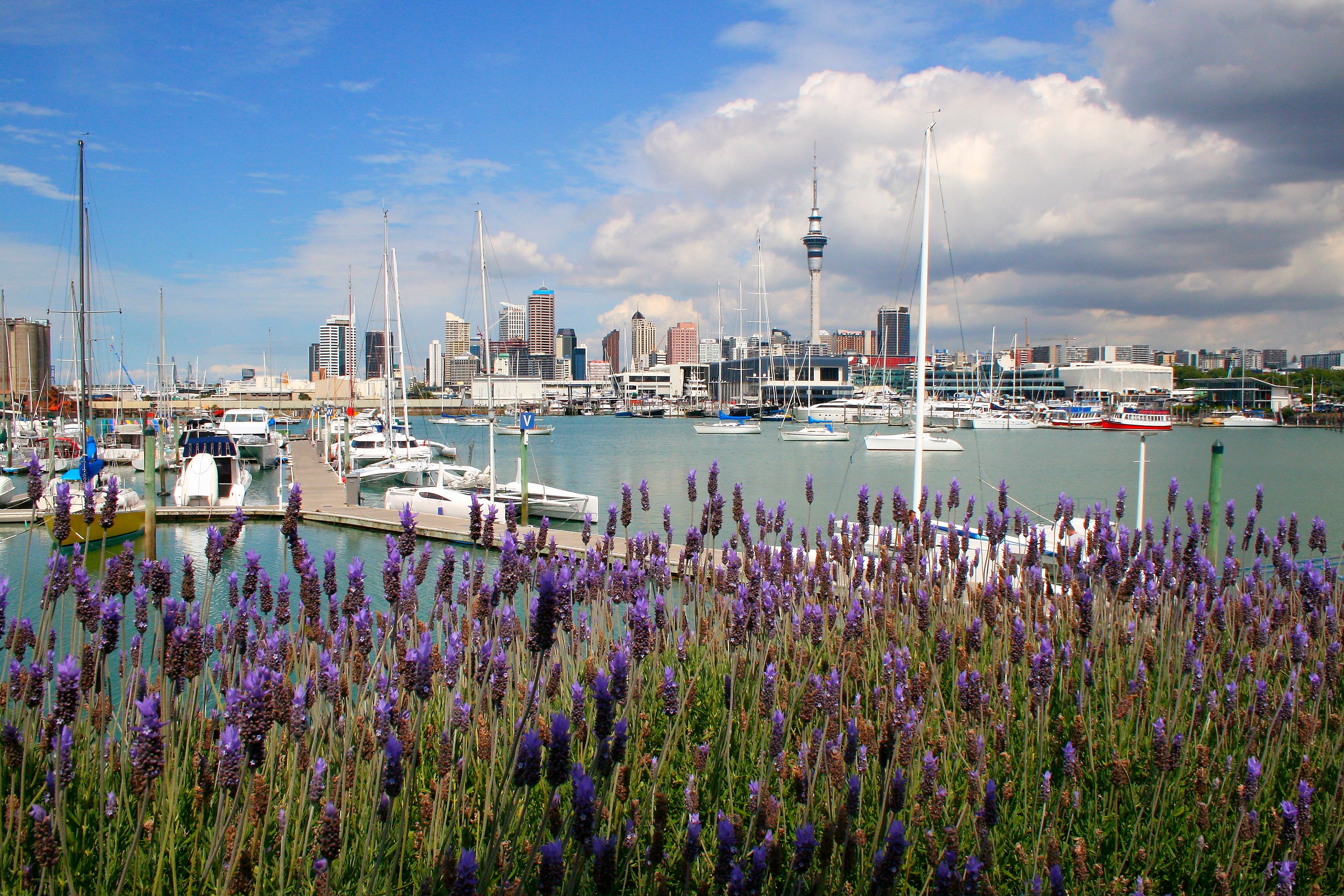 auckland garden