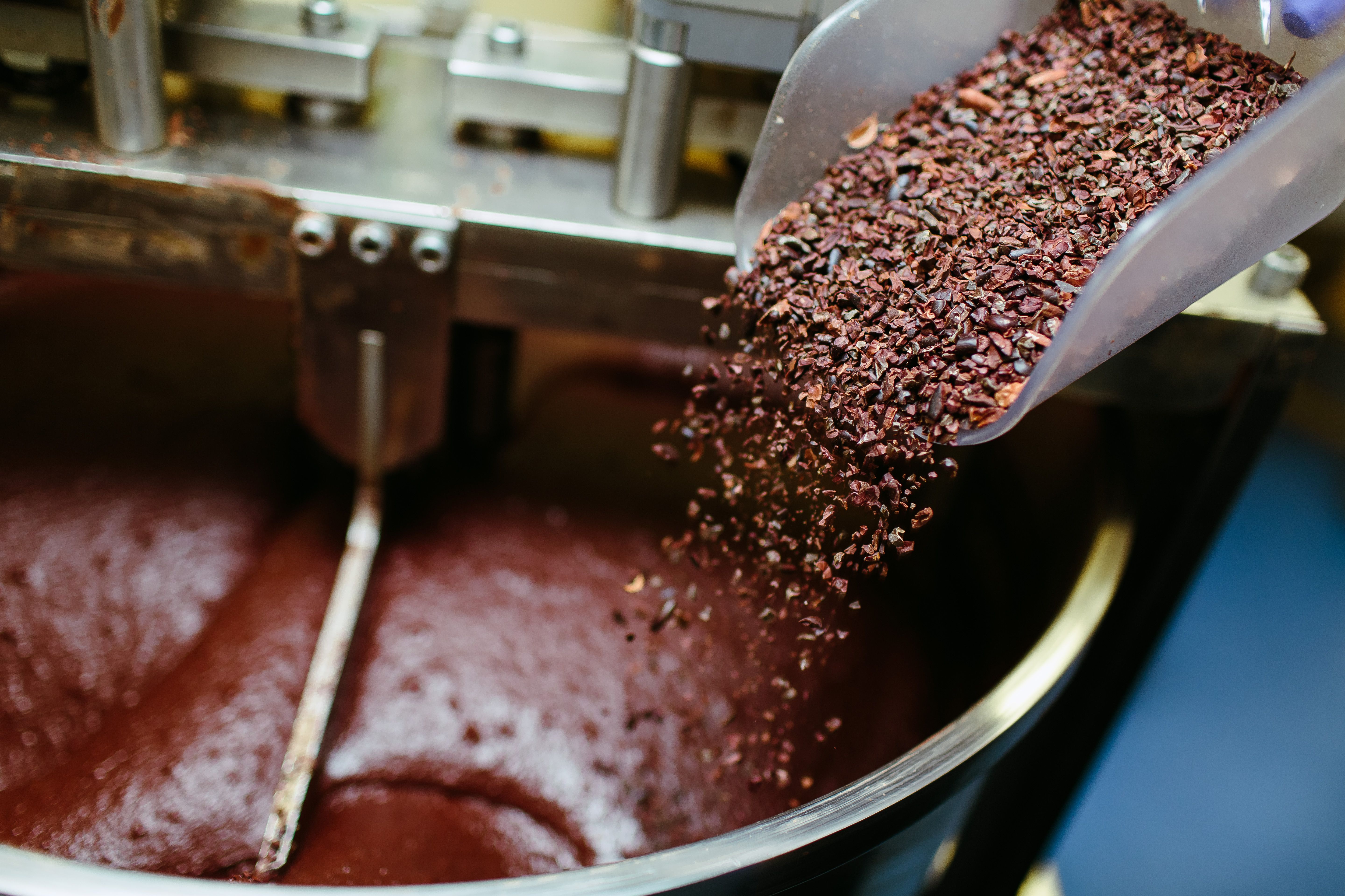 chocolate making