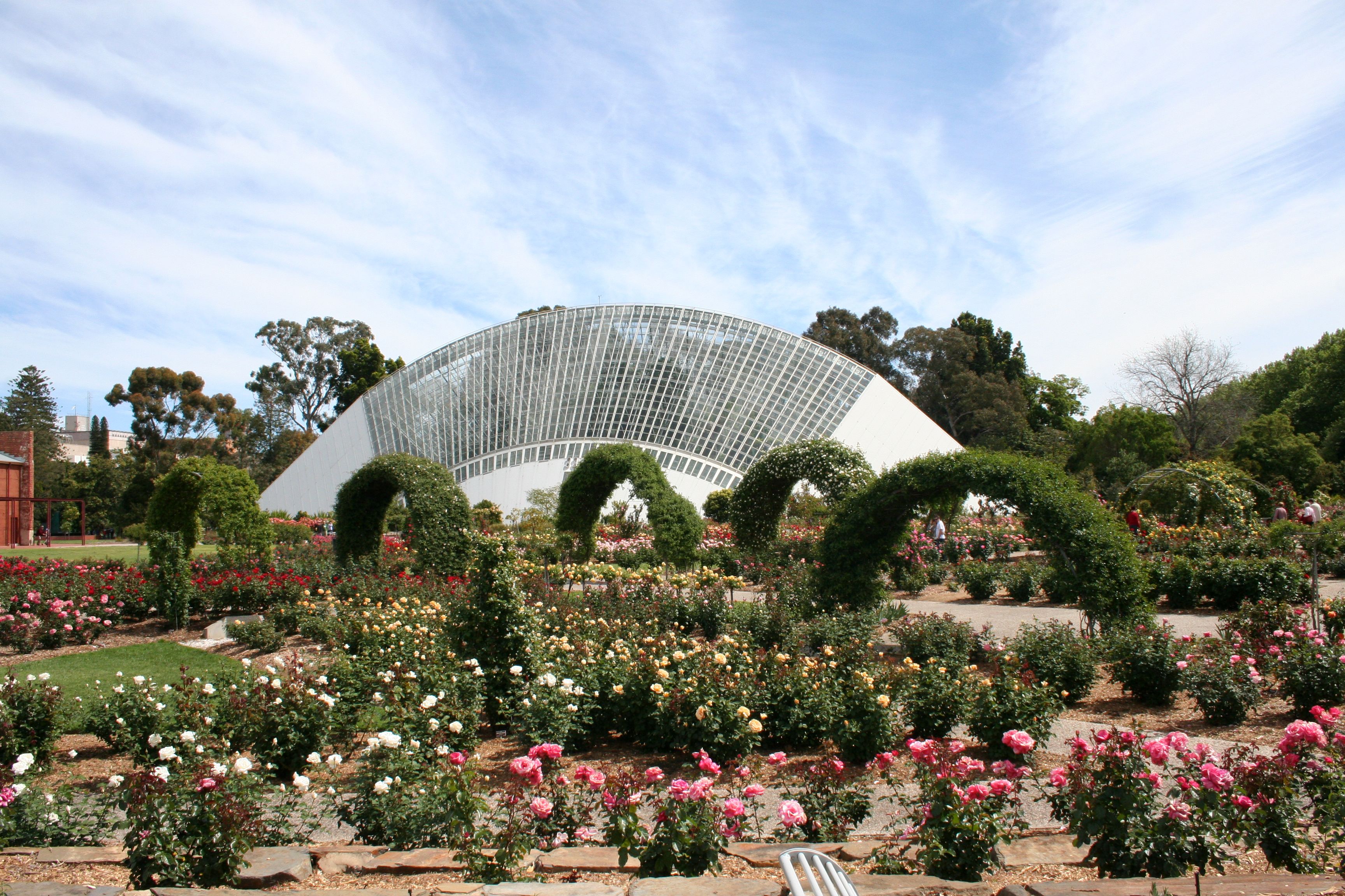 adelaide botanic garden