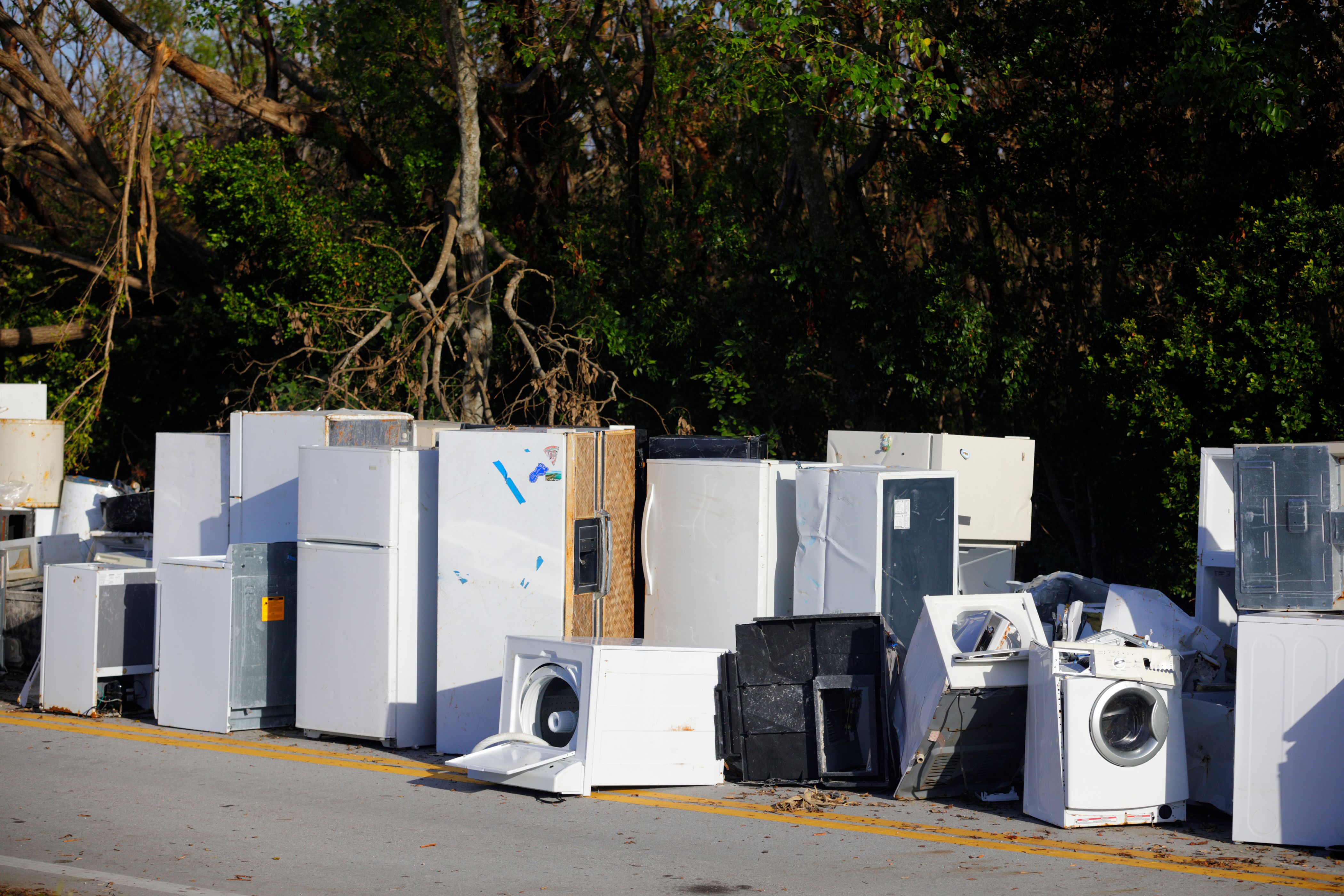 Image of abandoned appliances in the Florida Keys