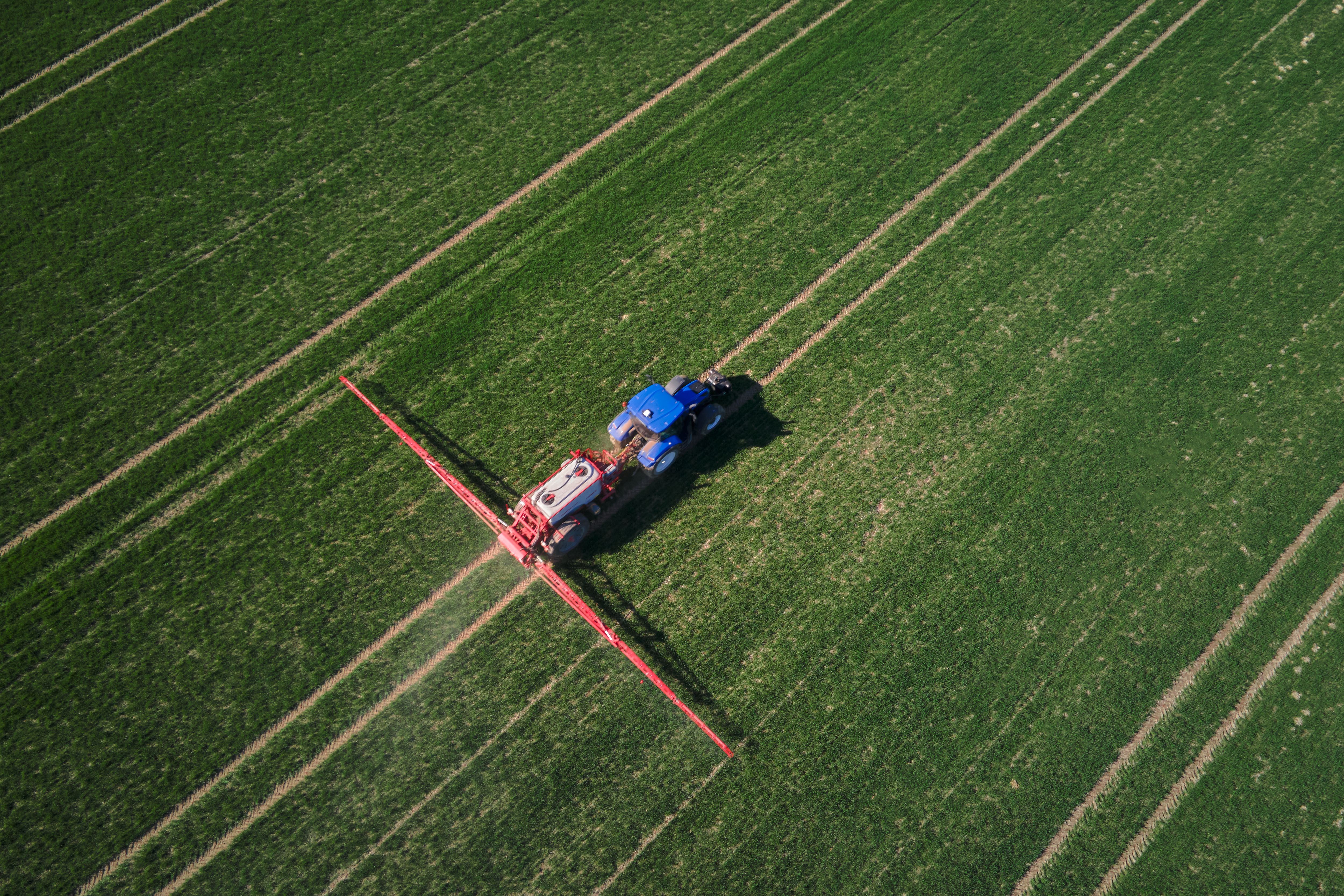 agriculture field