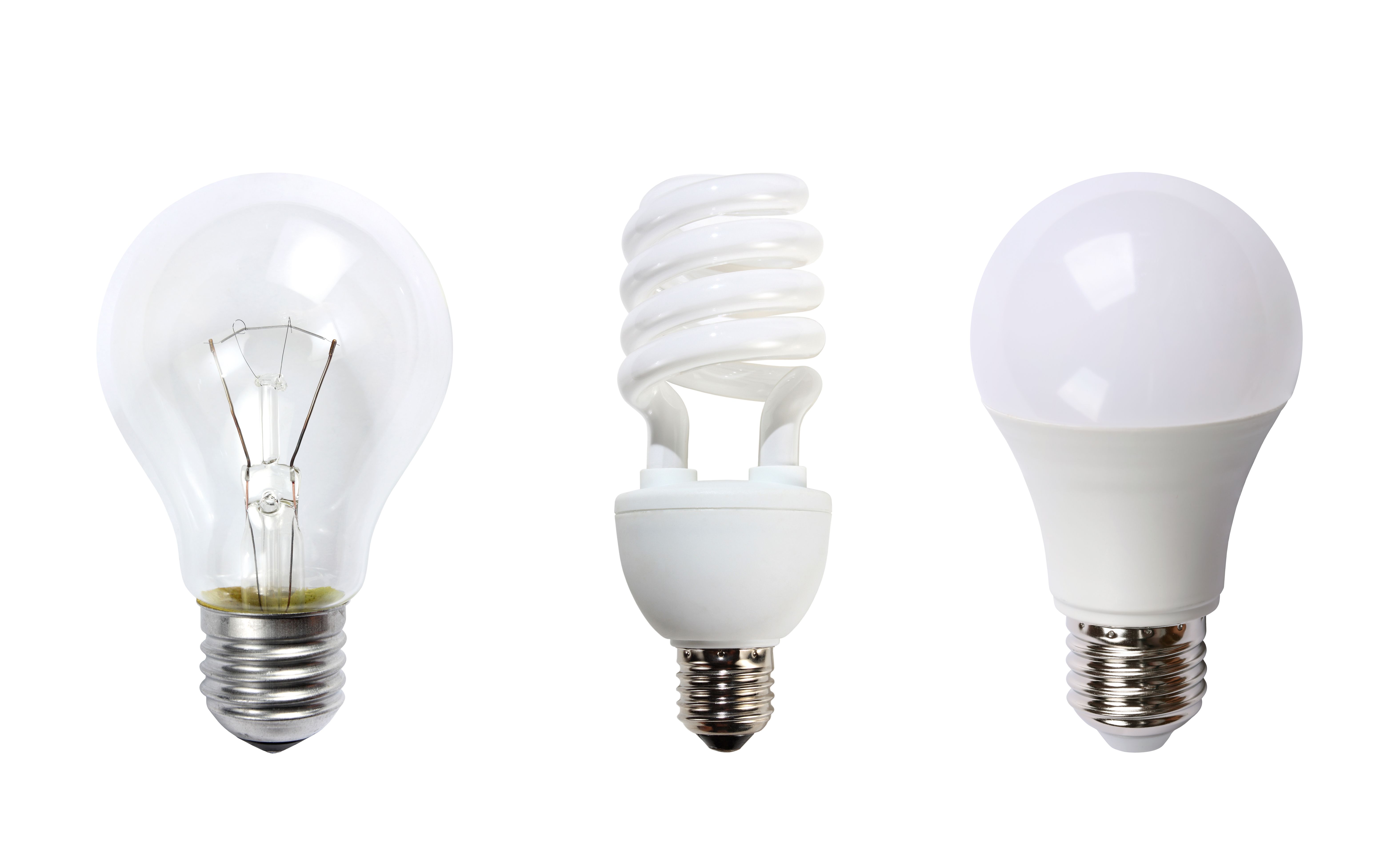 led light bulbs