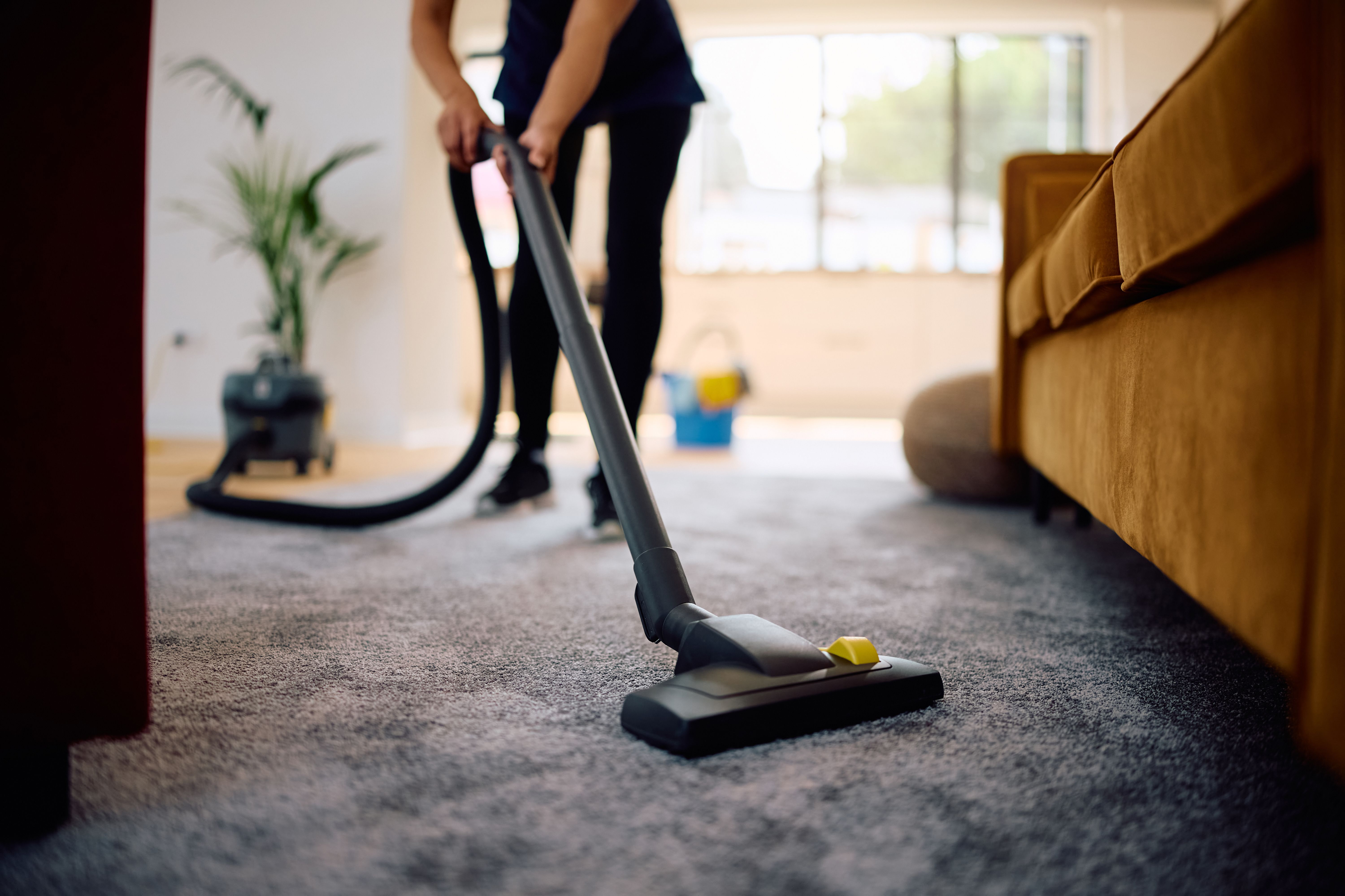 vacuum carpet