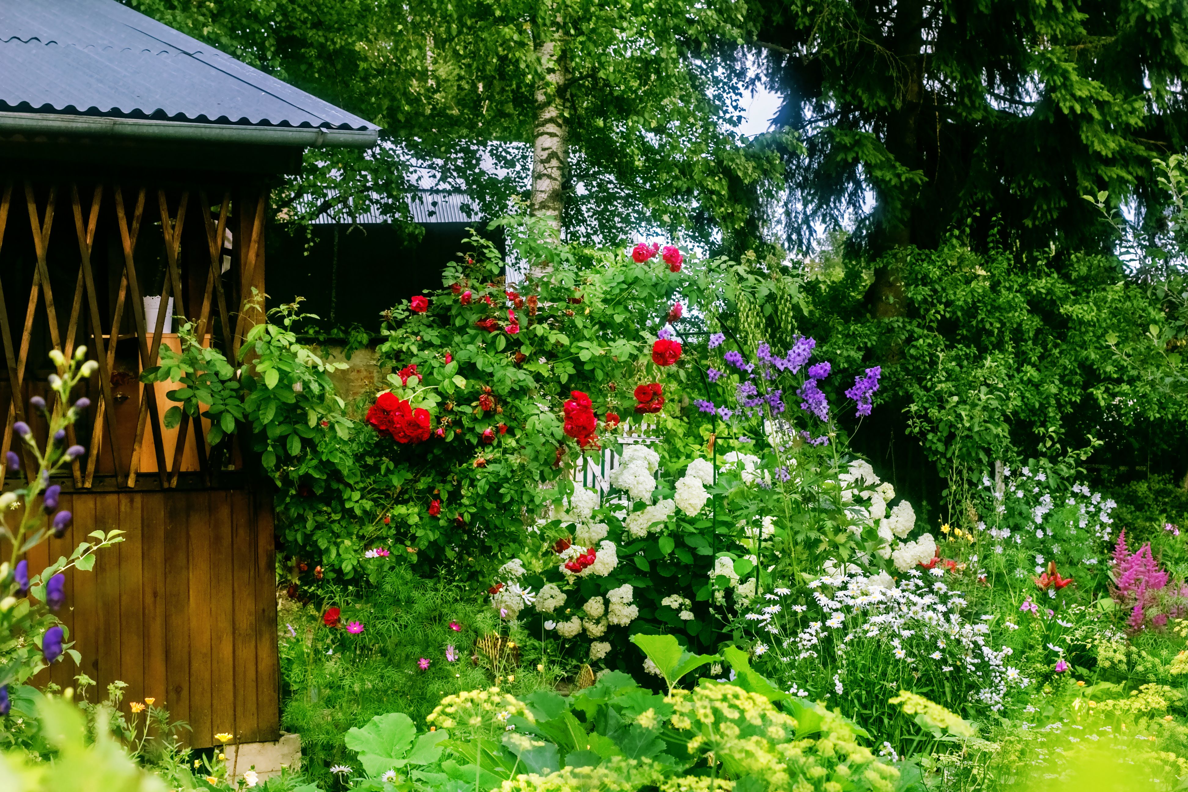 gazebo options