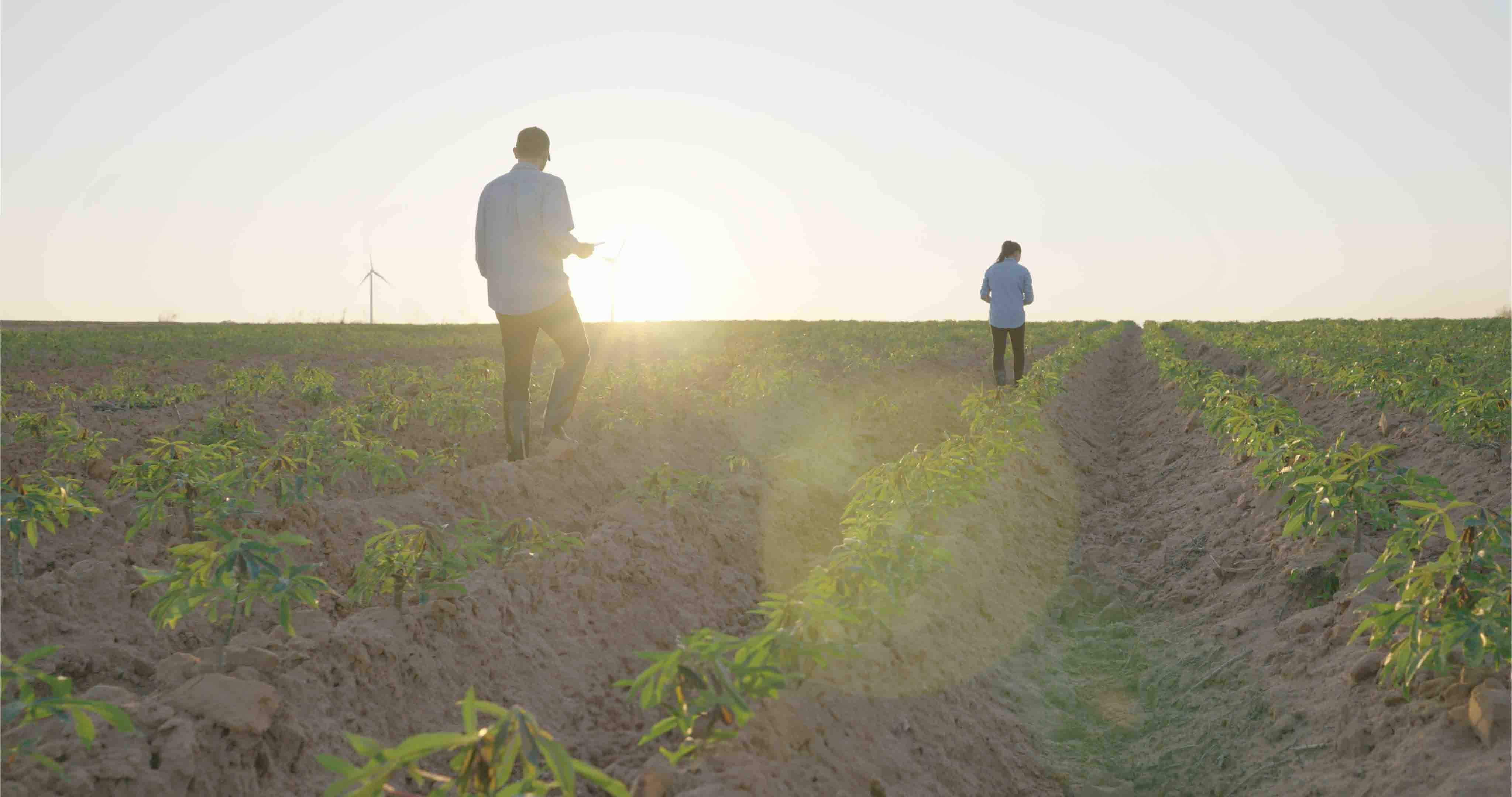 carbon footprint agriculture