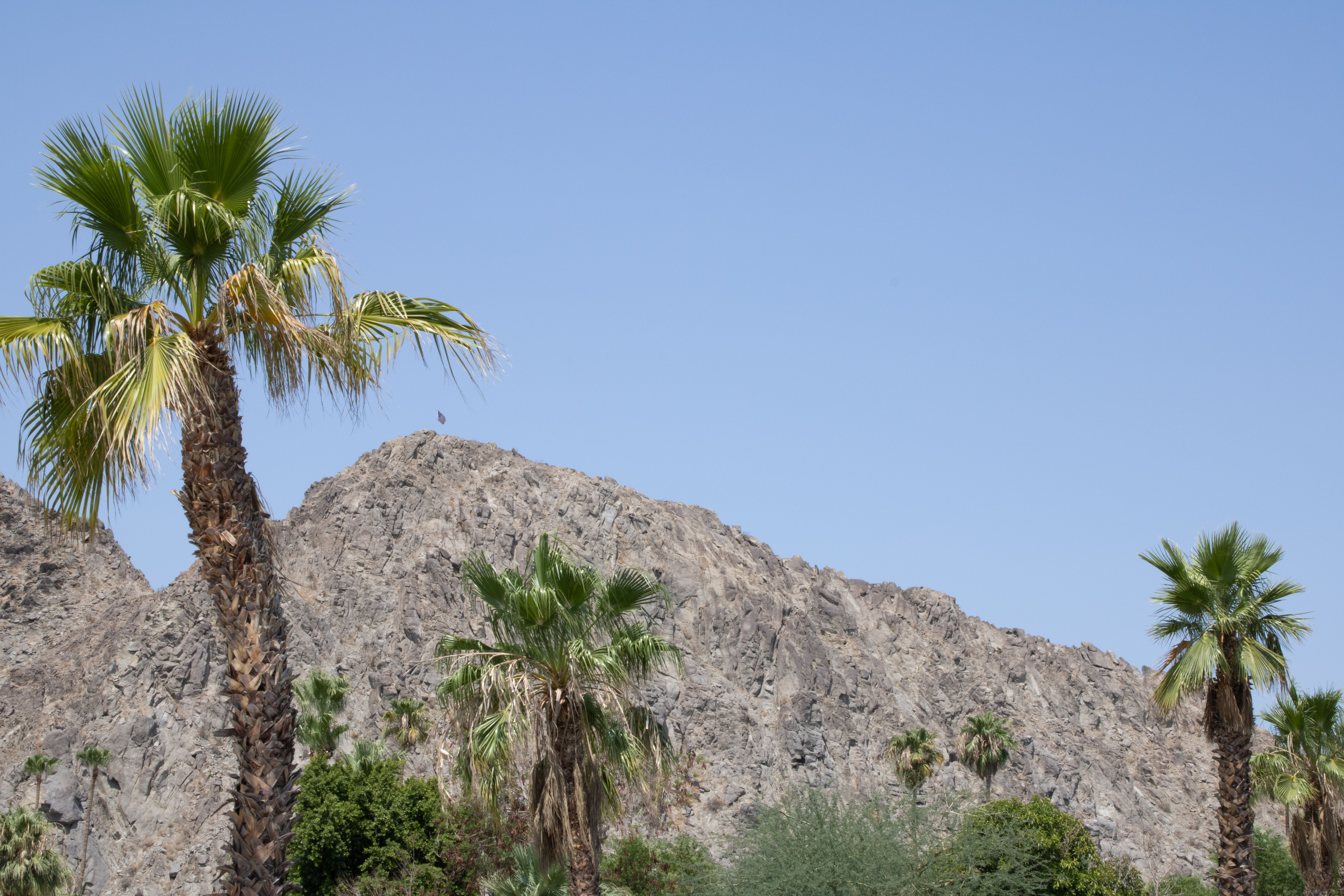 palm springs tourism