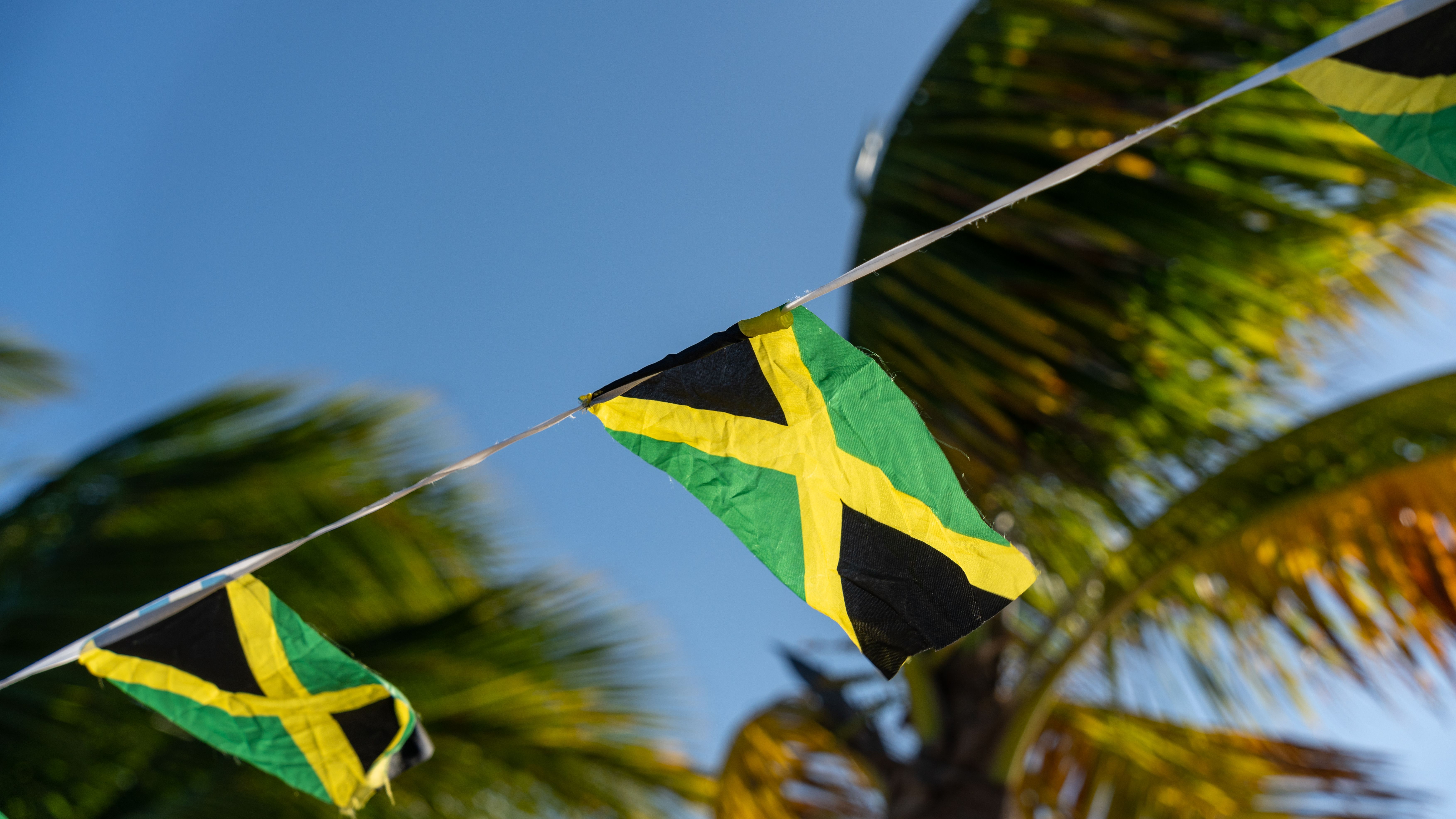 jamaica professional setup