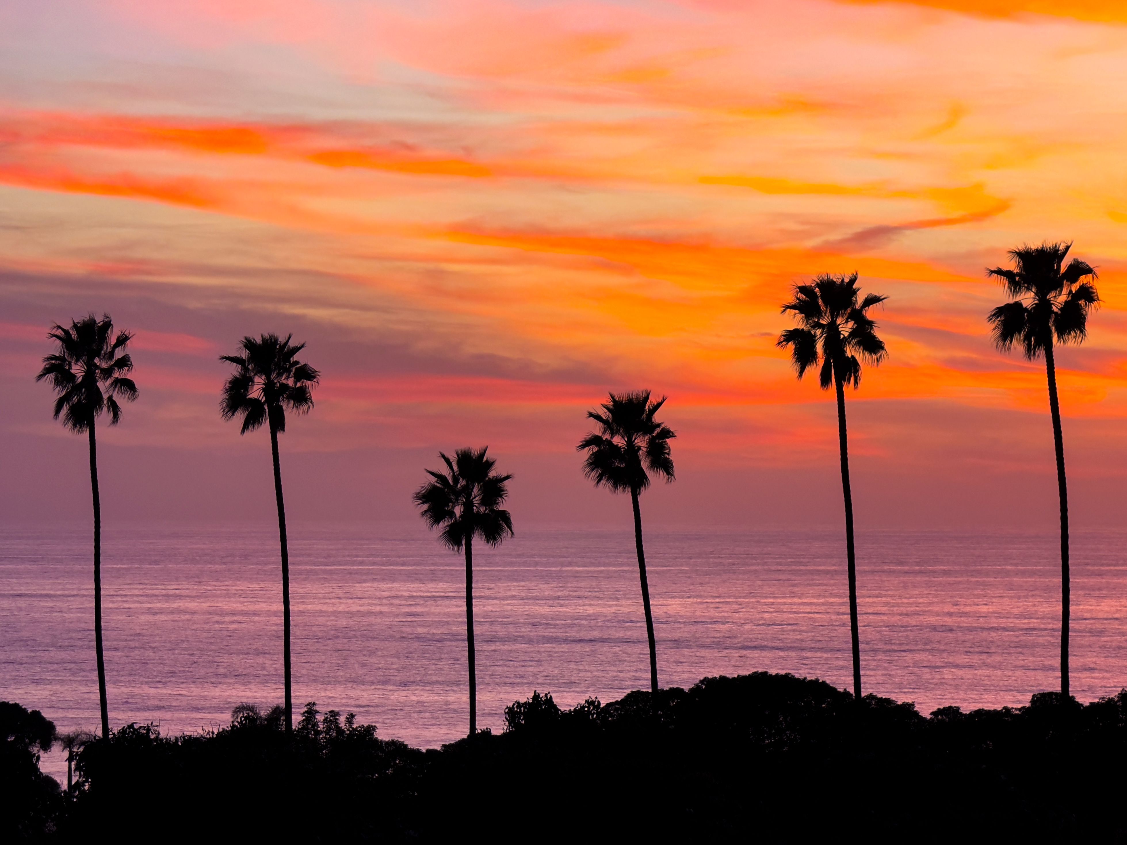 encinitas coast