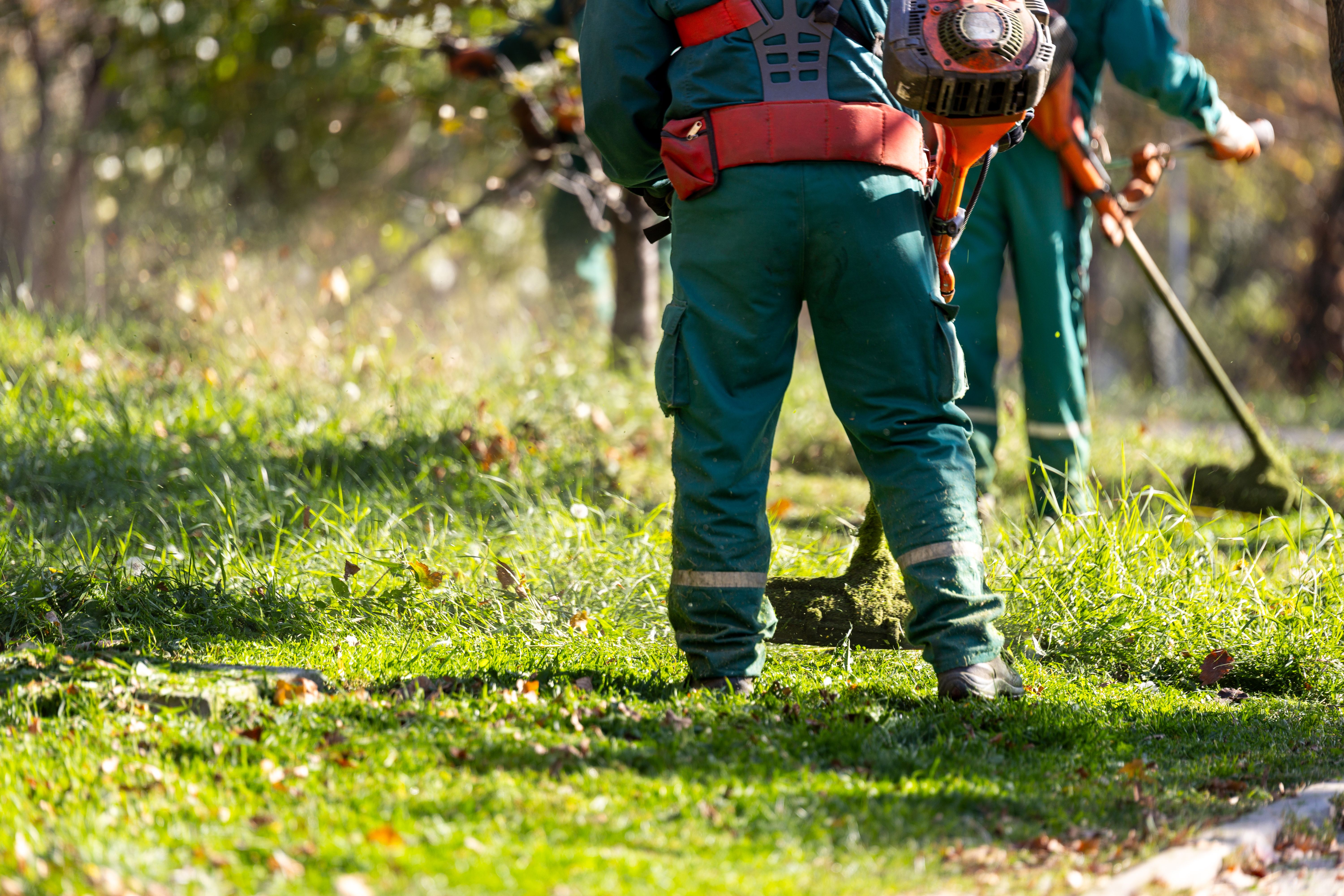 fall lawn care