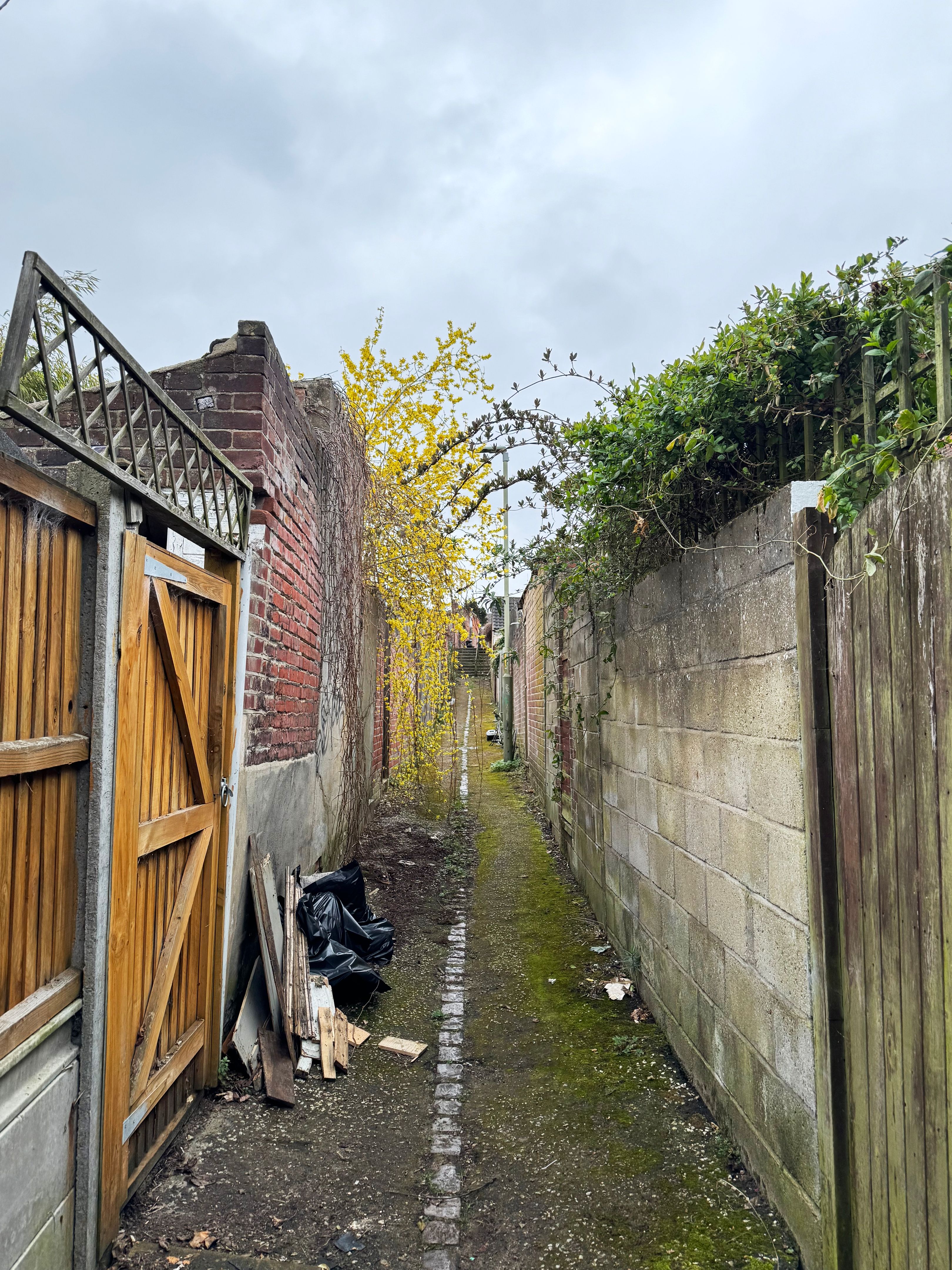 norwich neighborhood