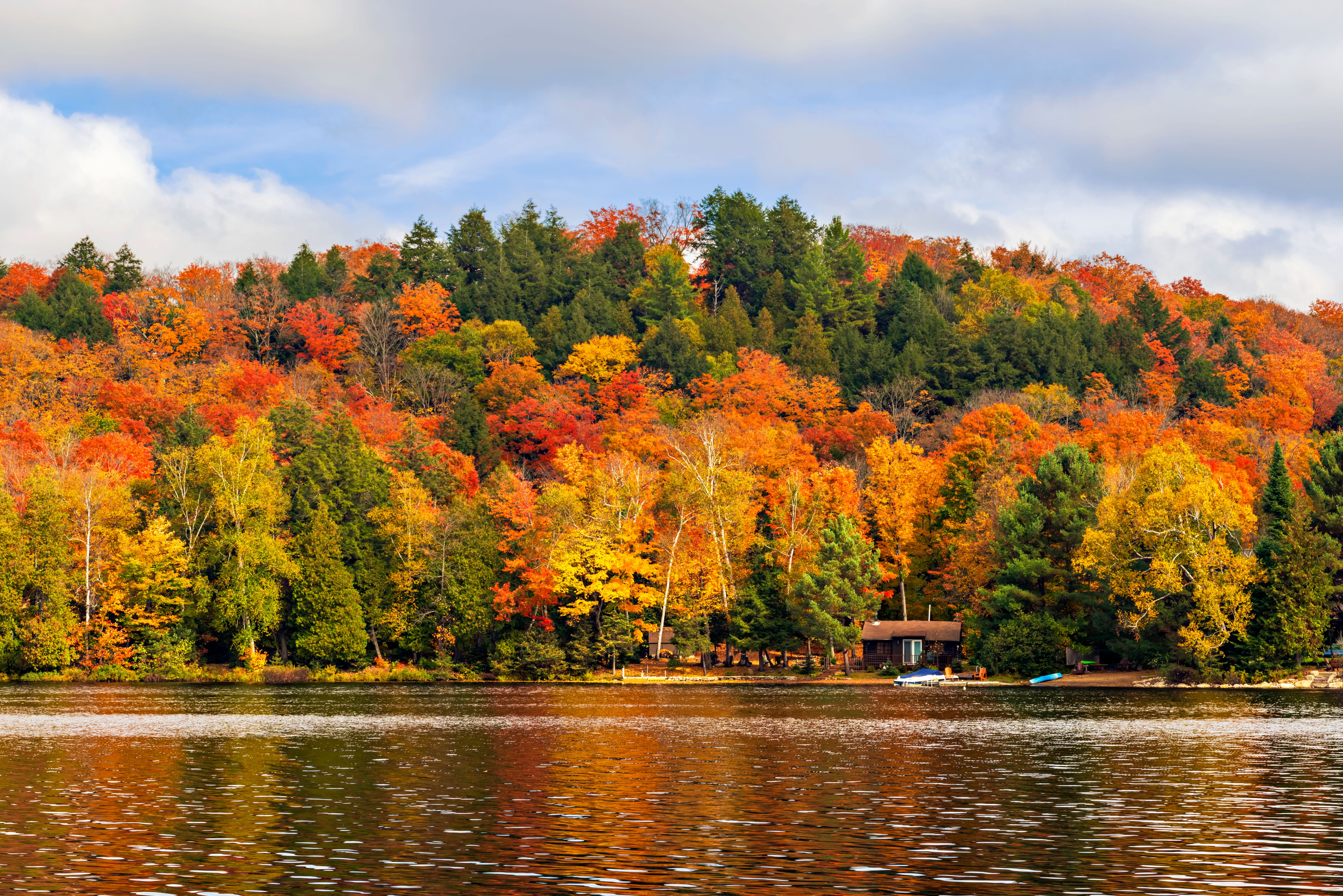 lake in autumn