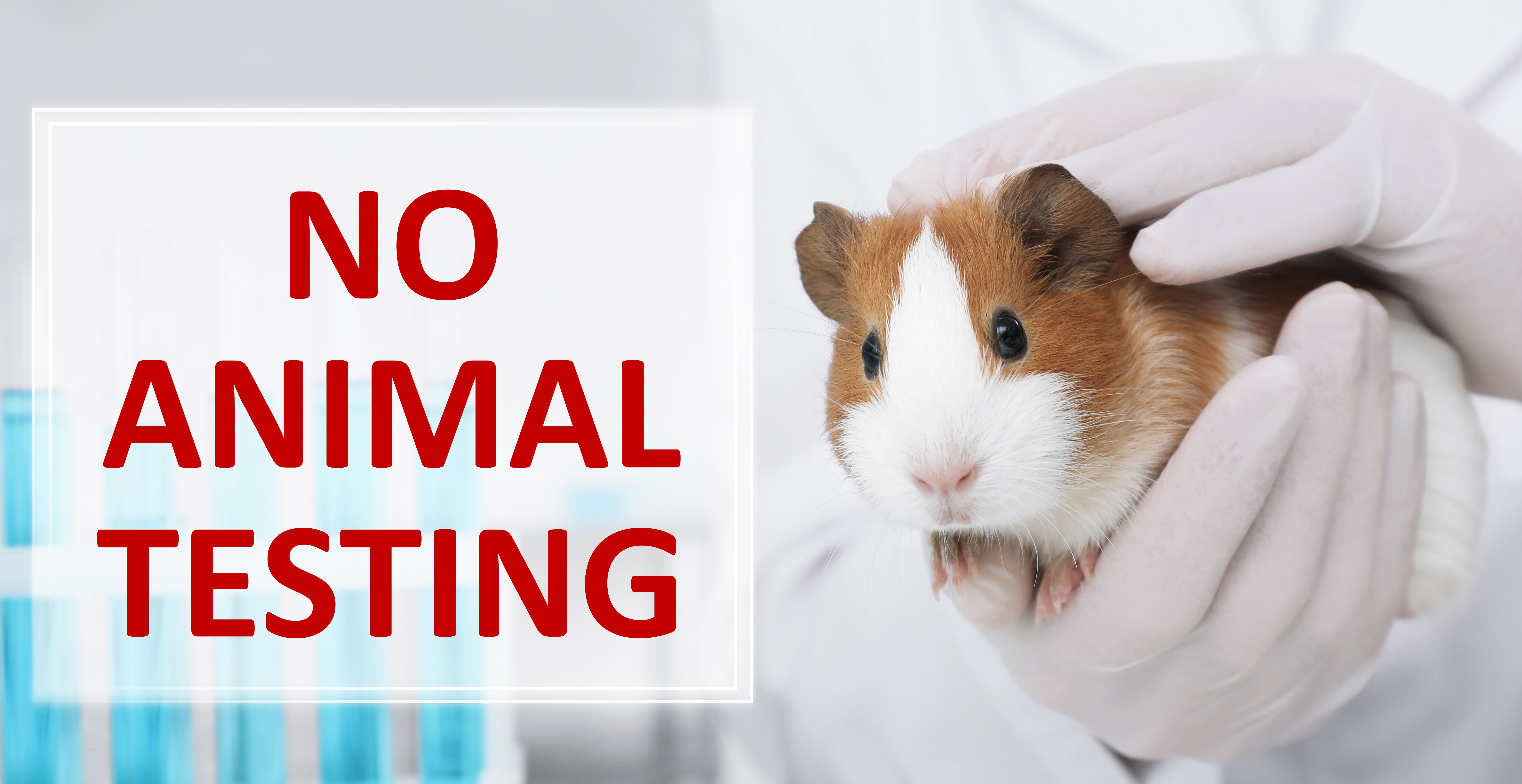 non-animal testing