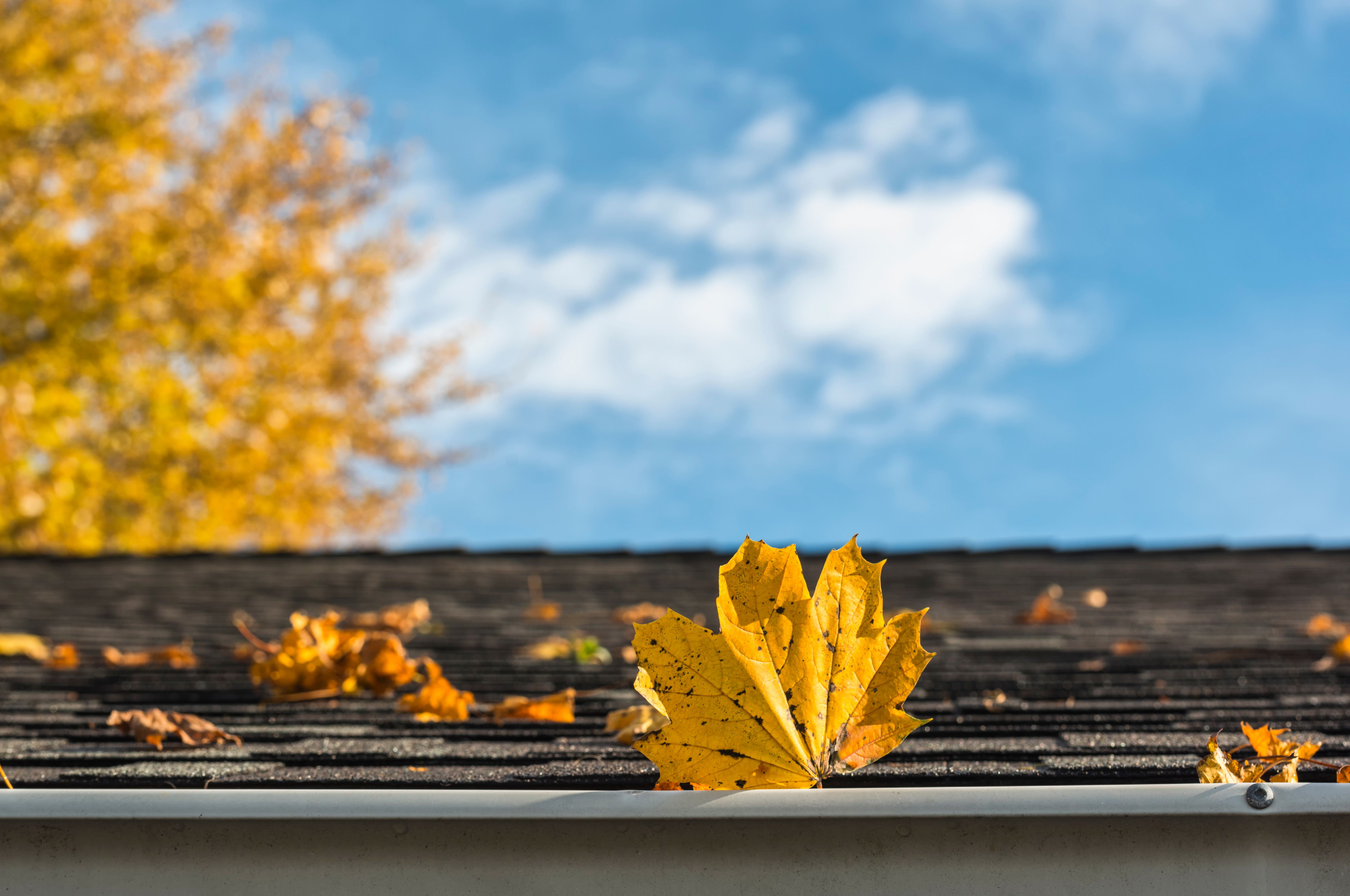 autumn roof maintenance