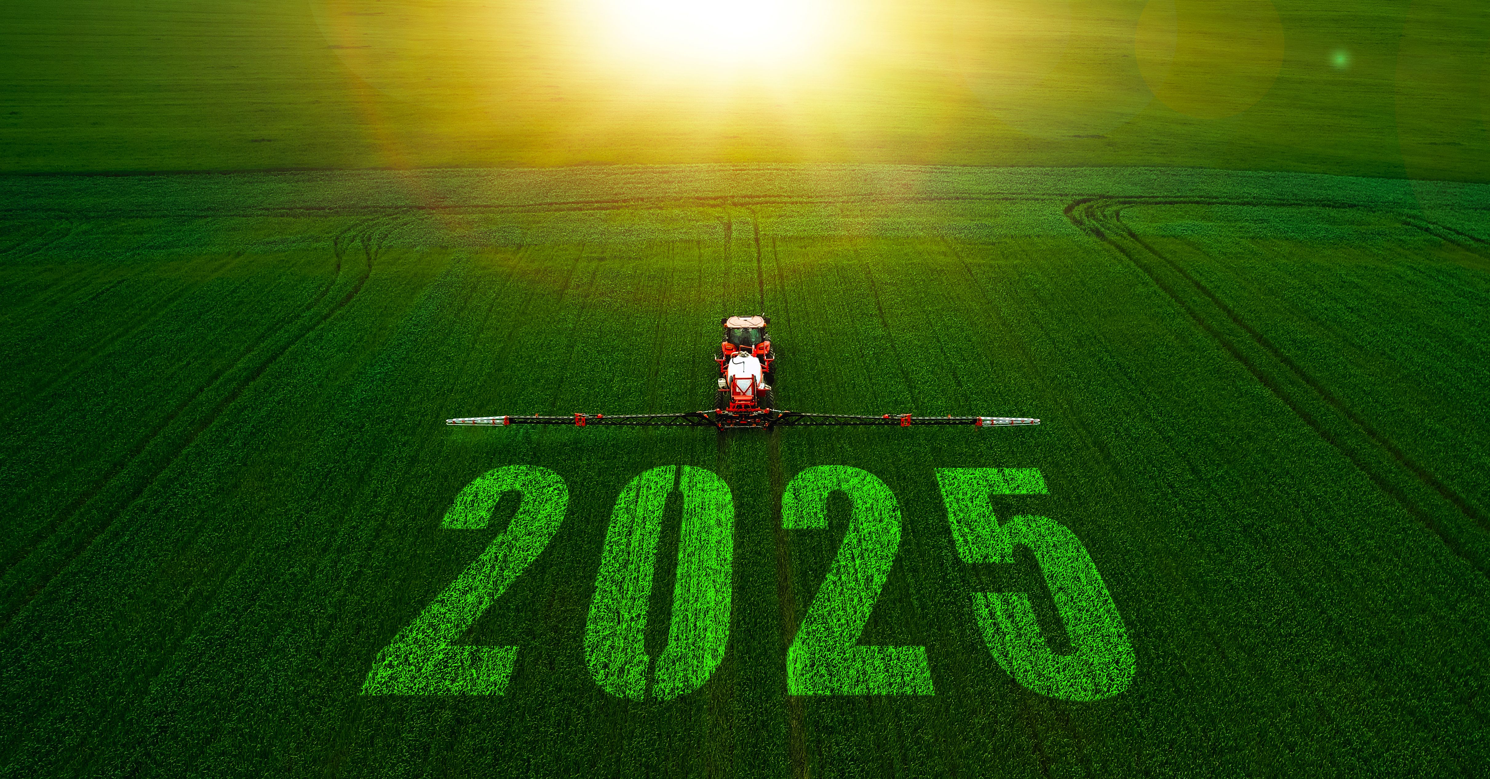 lawn care planning