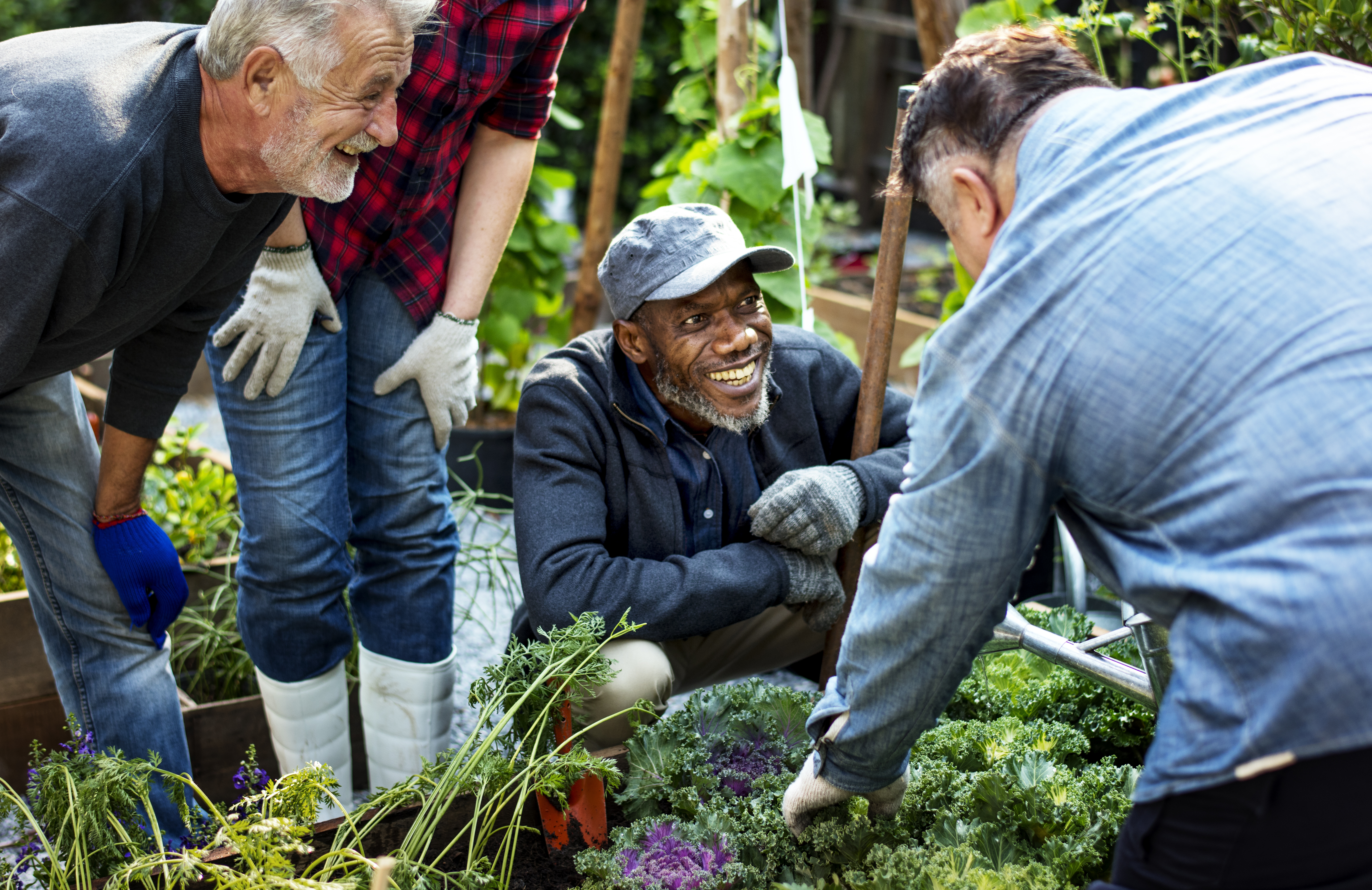 Group of people planting vegetable in greenhouse Group of people planting vegetable in greenhouse