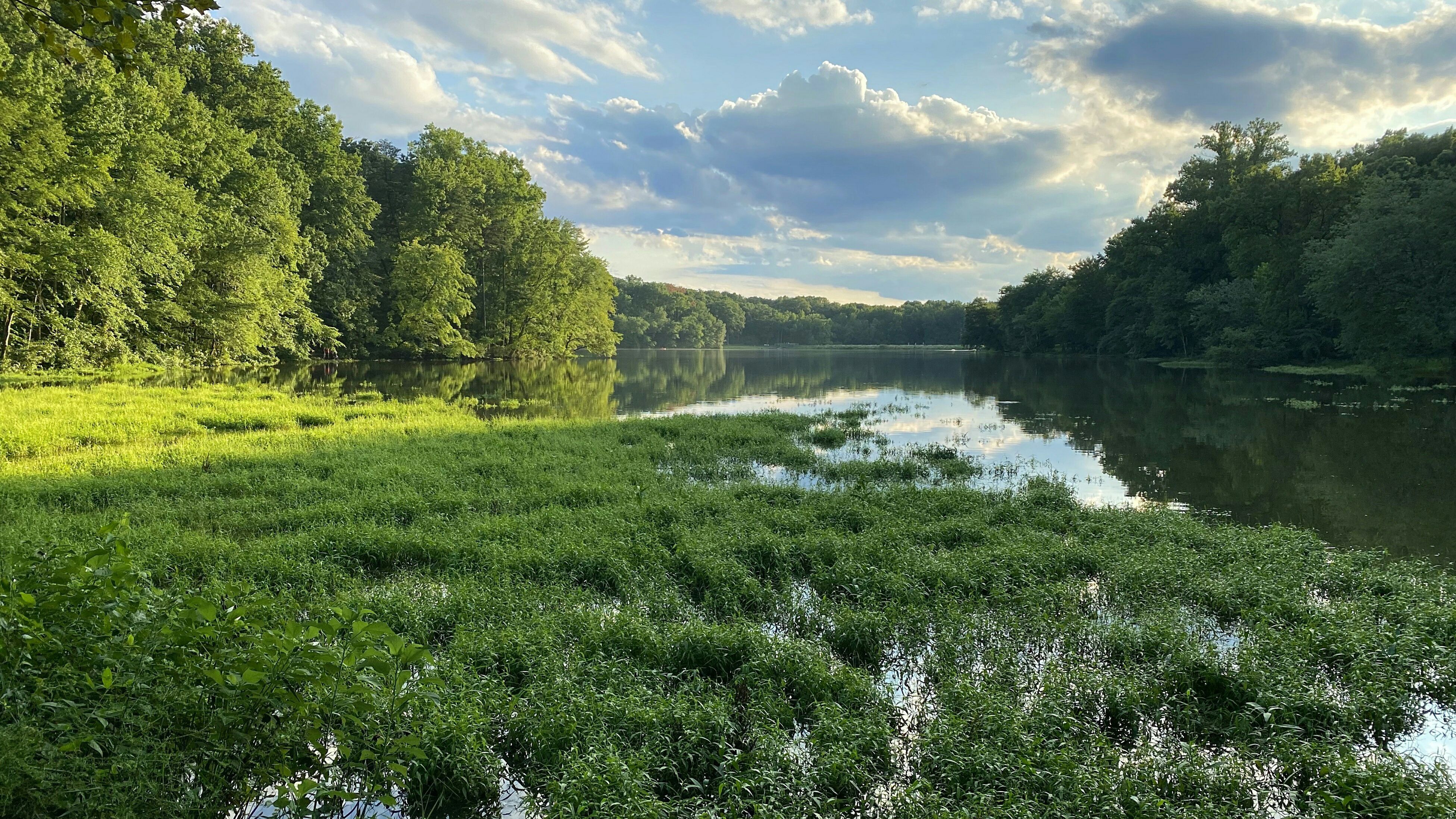 Greenbelt Lake at Buddy Attick Park in Greenbelt Maryland