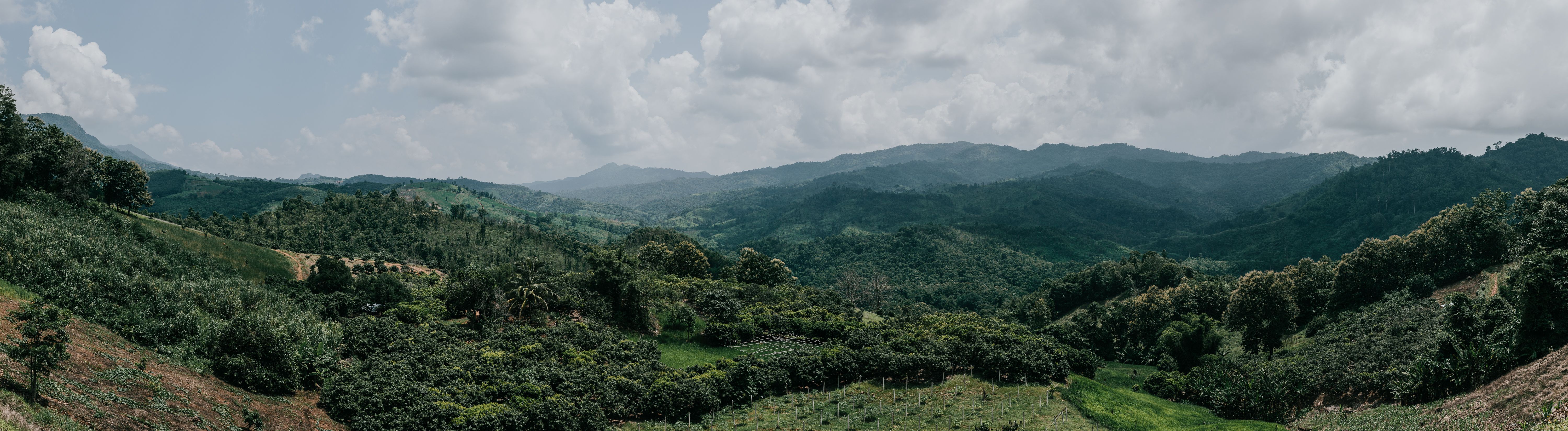 landscape carmen de apicalá