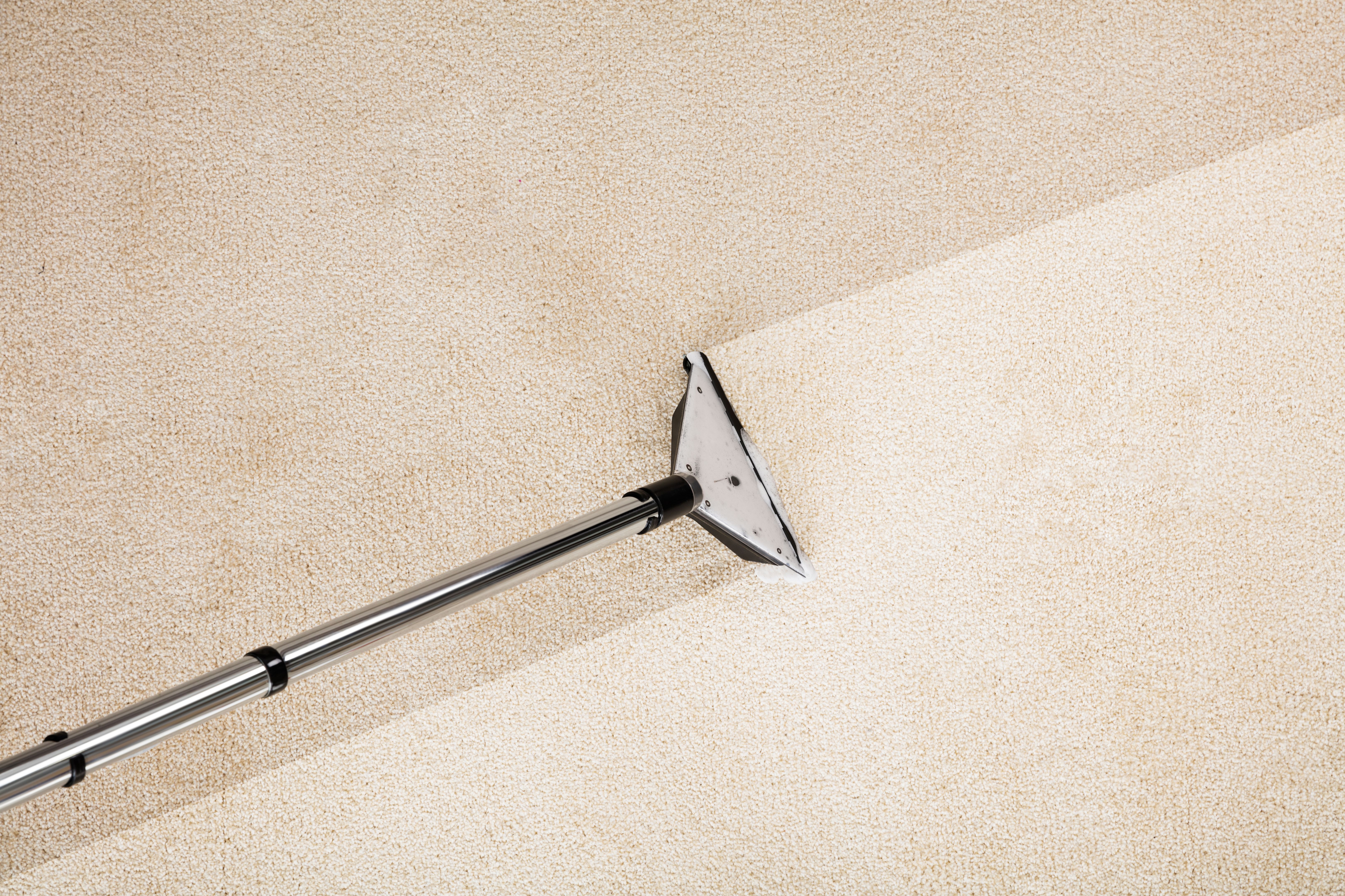 local carpet cleaning