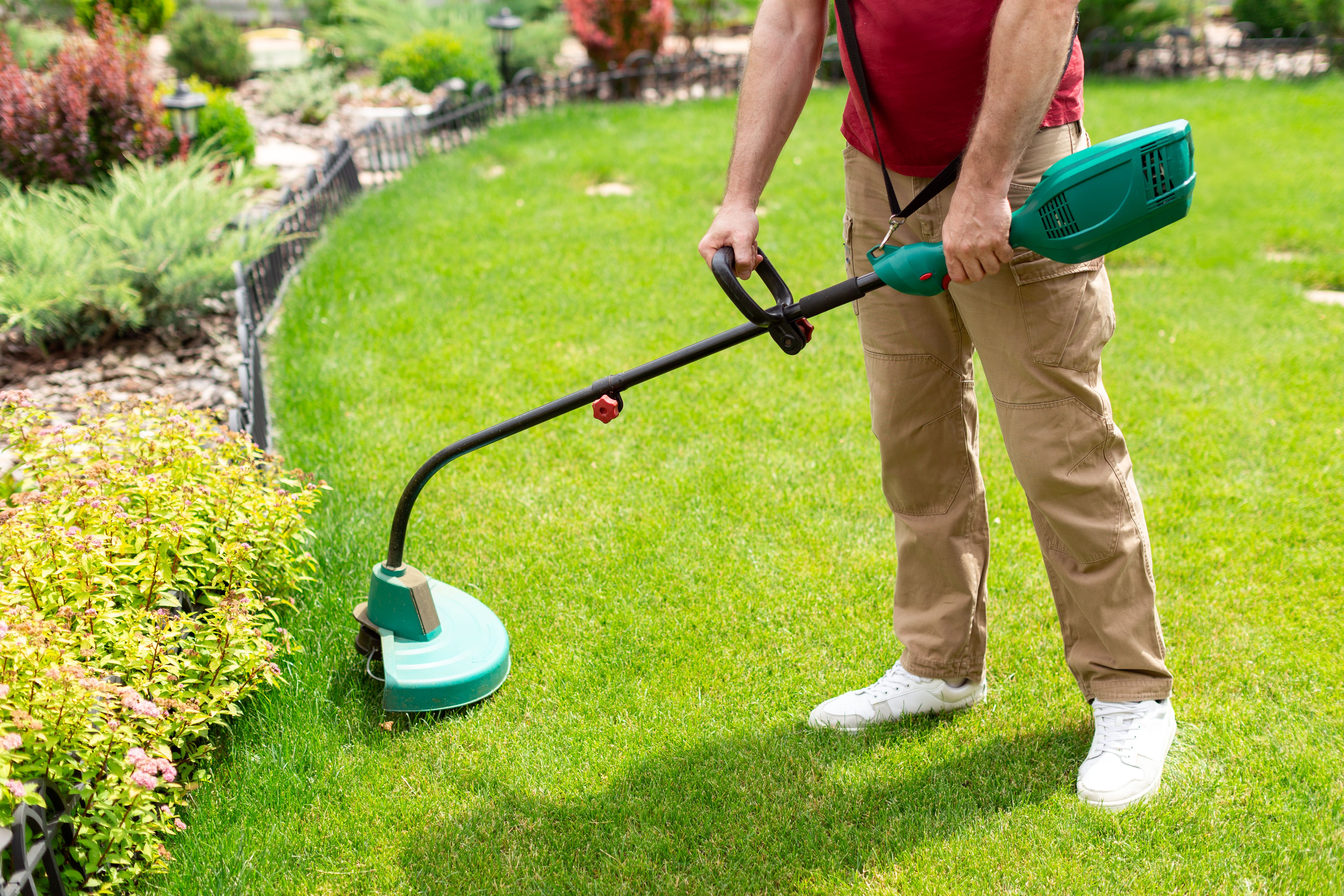 lawn care spring