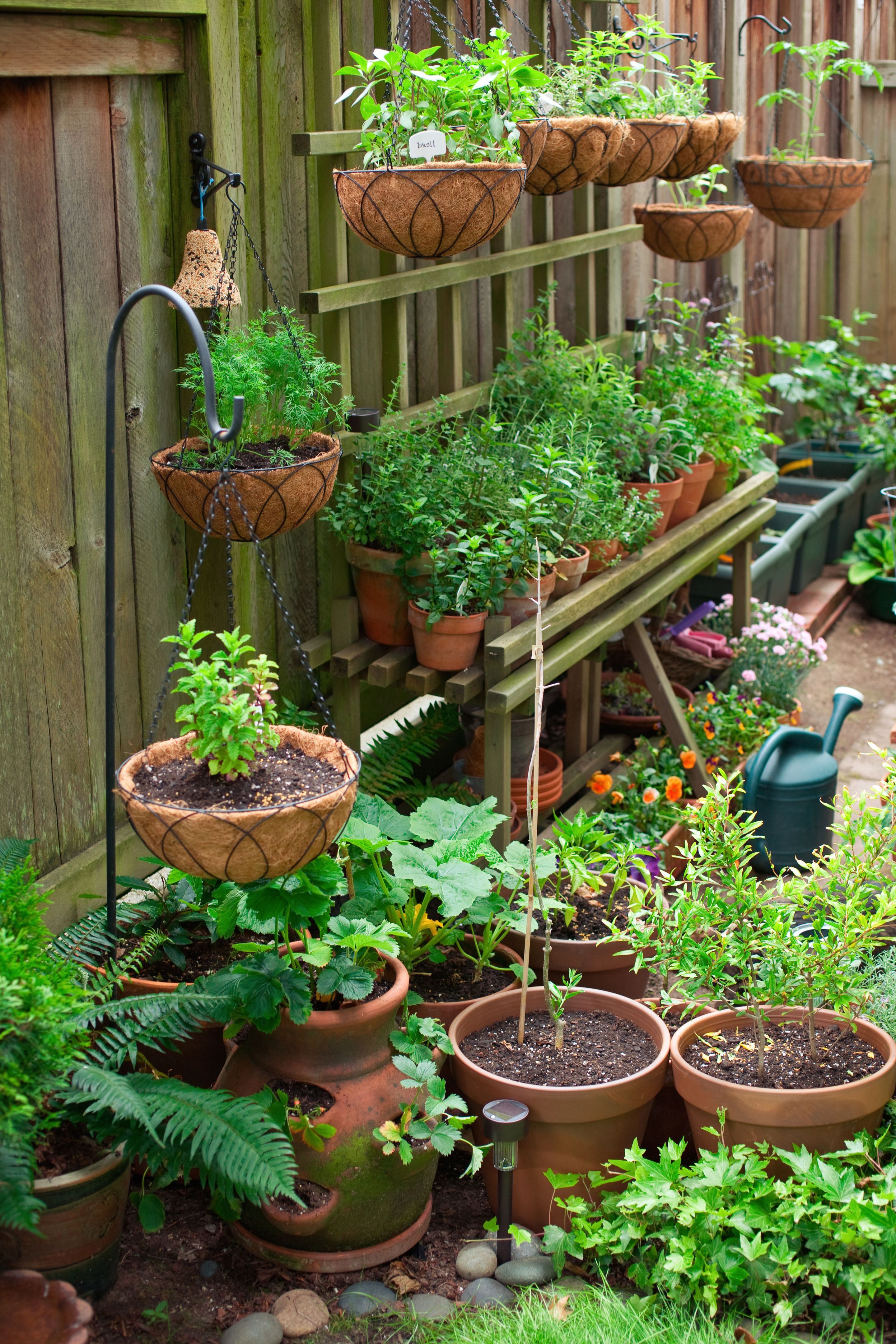 small space gardening