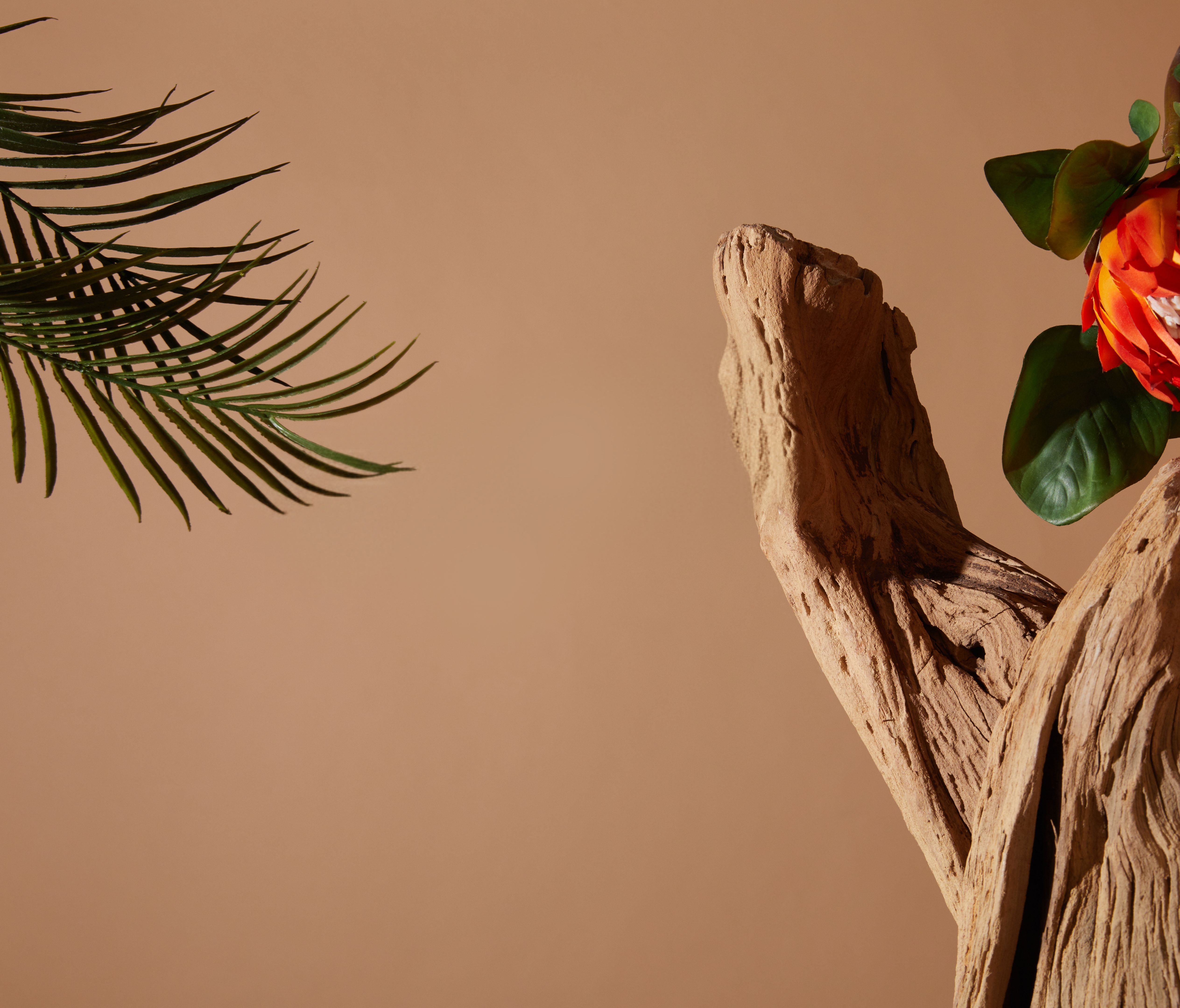 interior natural elements