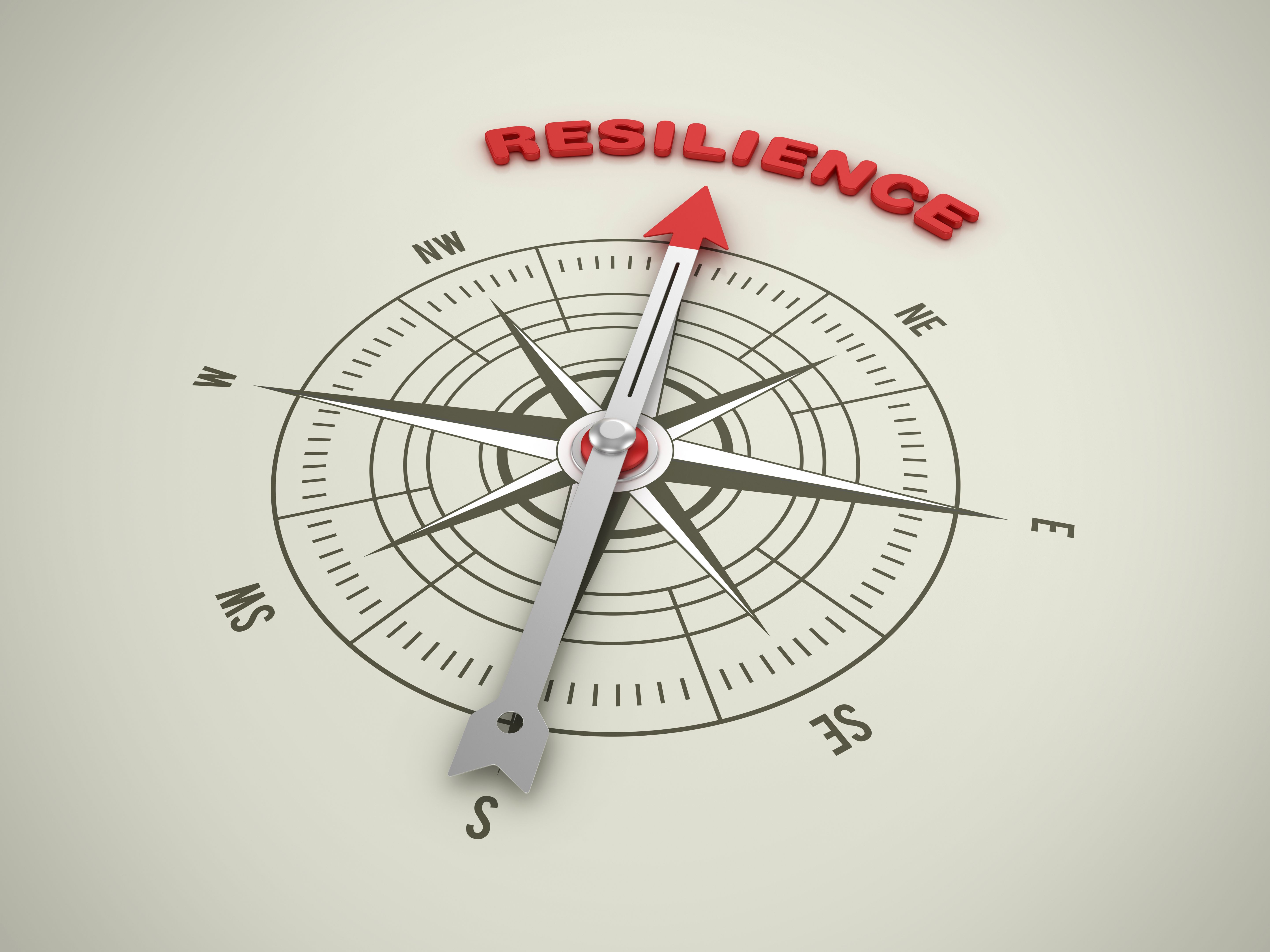 business resilience