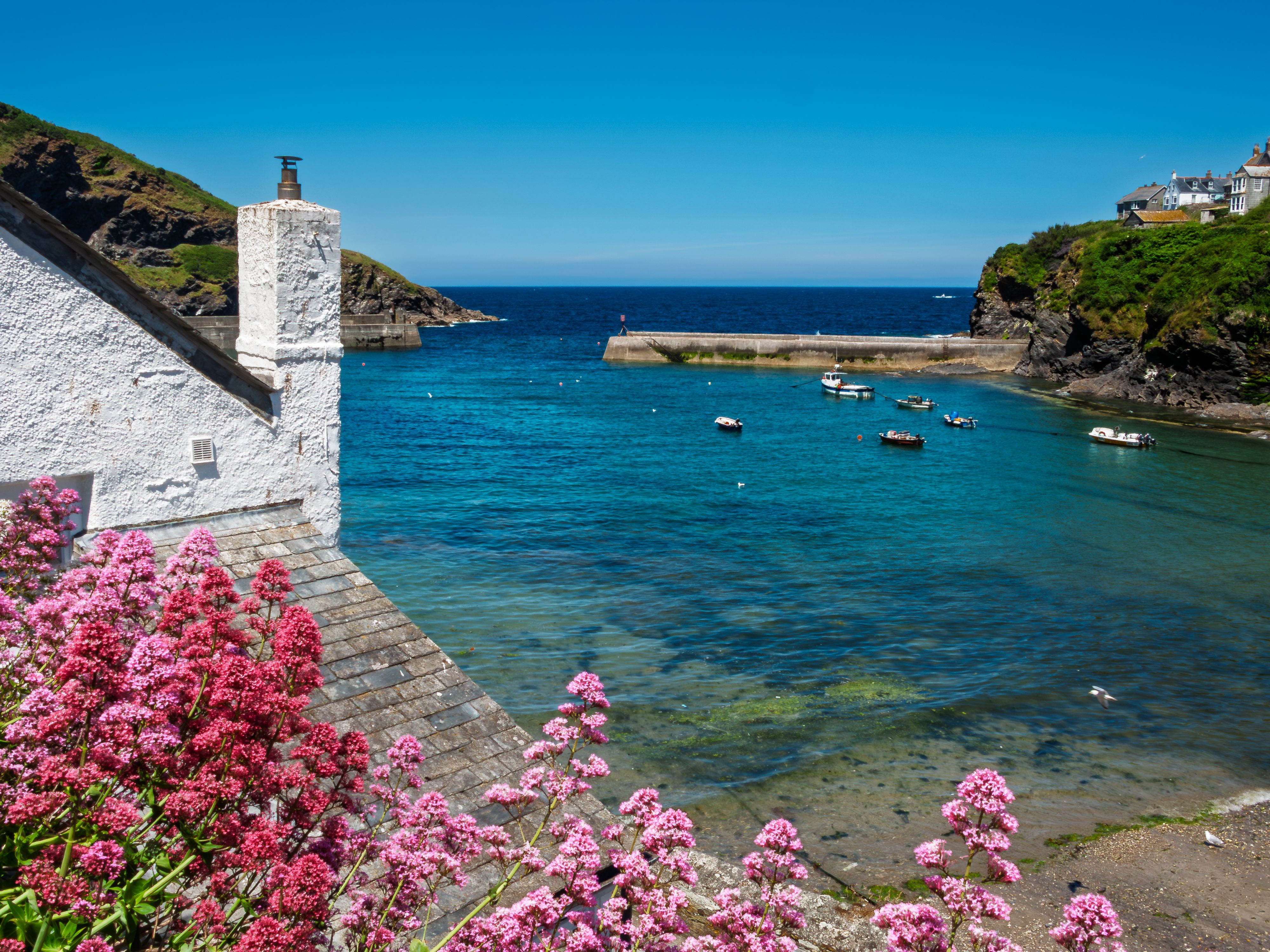 Picturesque Port Isaac, Cornwall. A charming harbor village, Doc Martin country