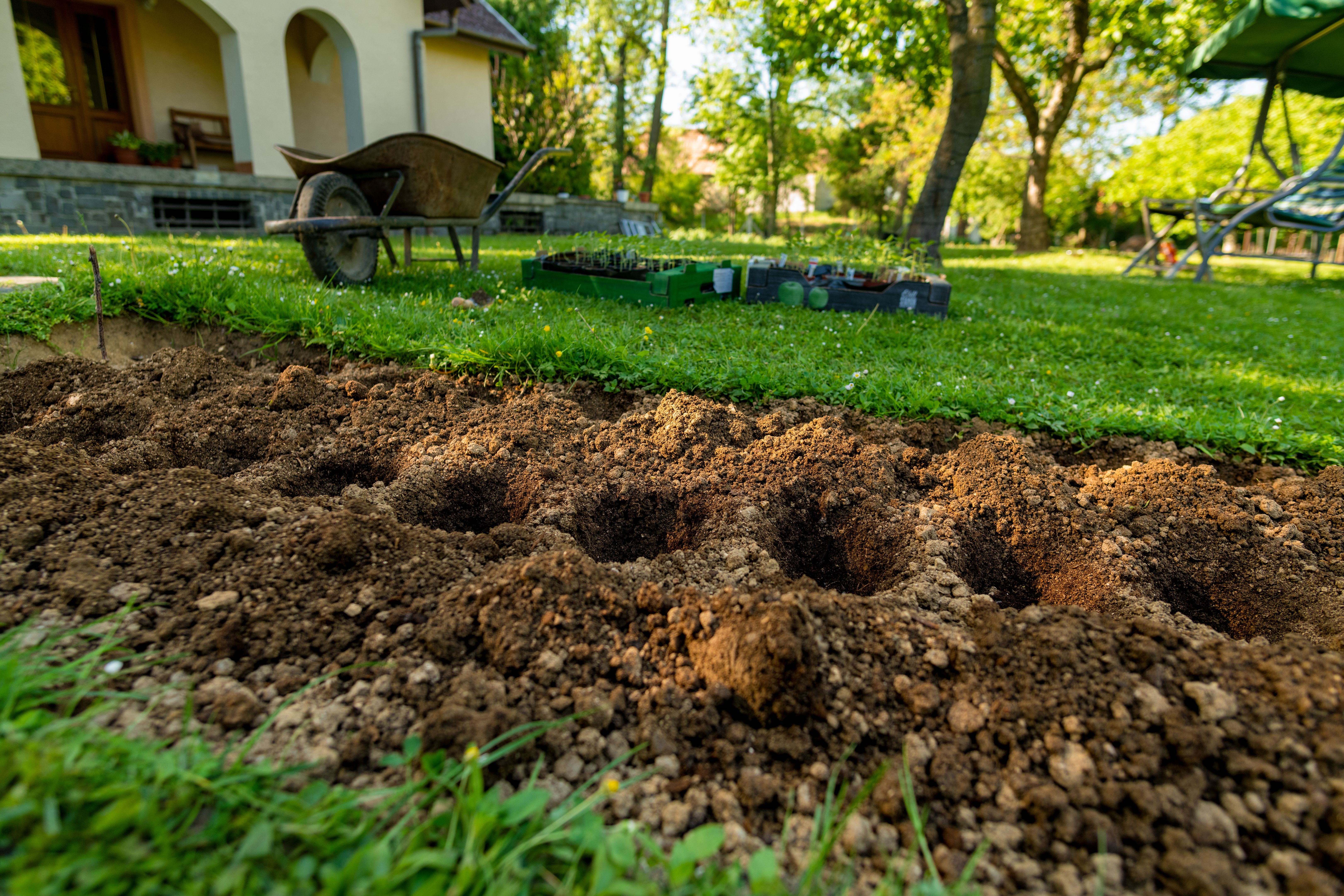 lawn soil preparation