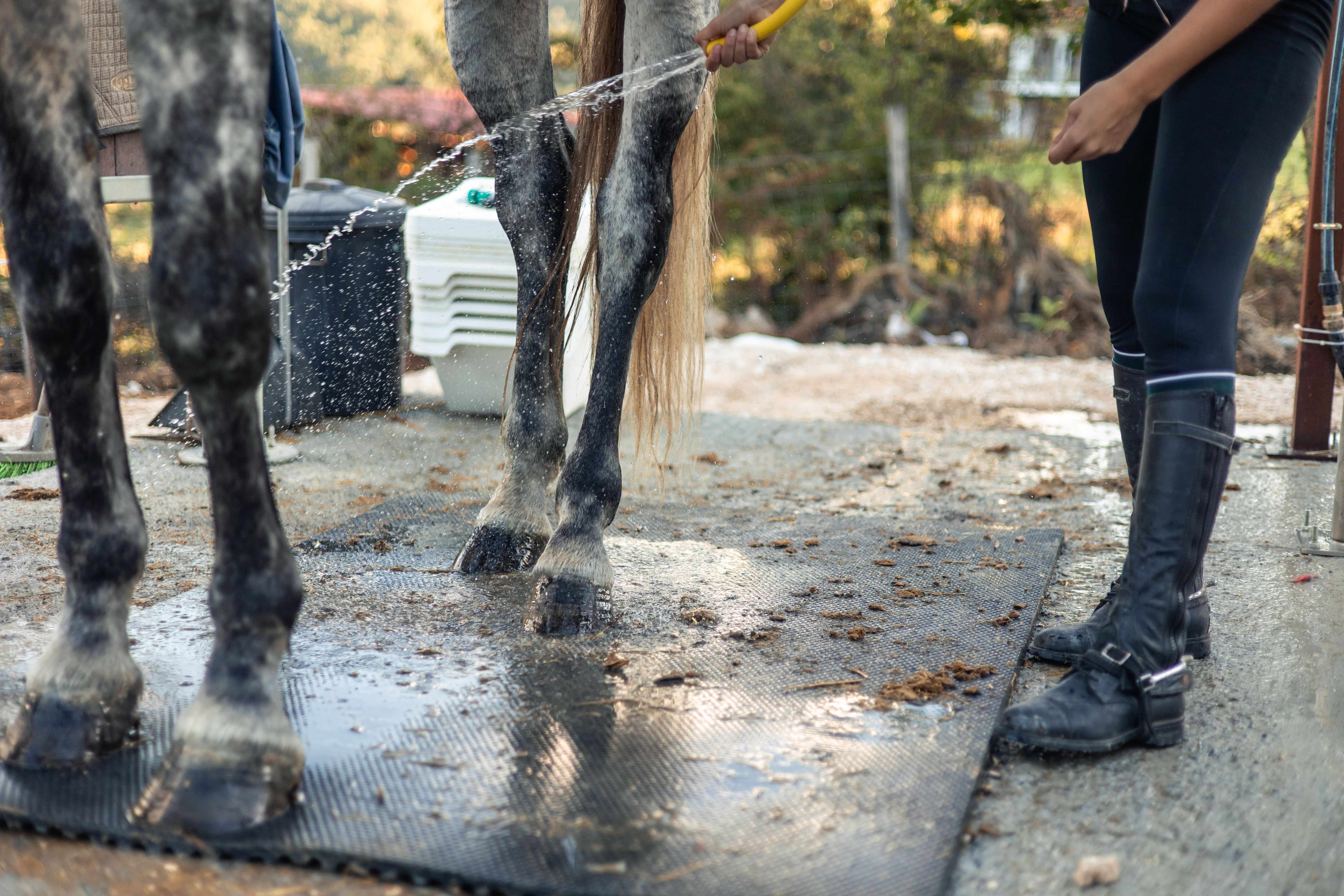 post-training support