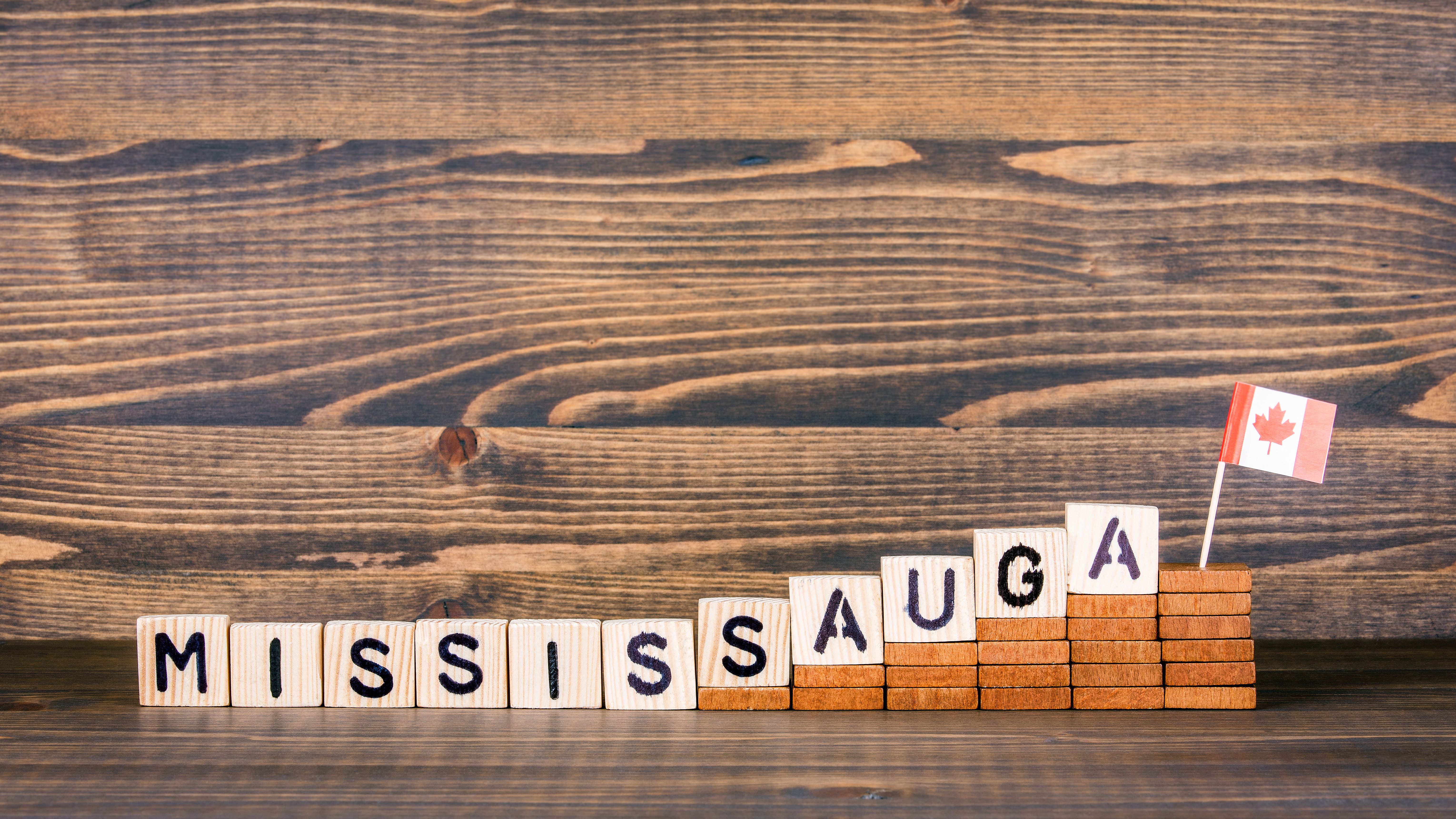 Mississauga marketing