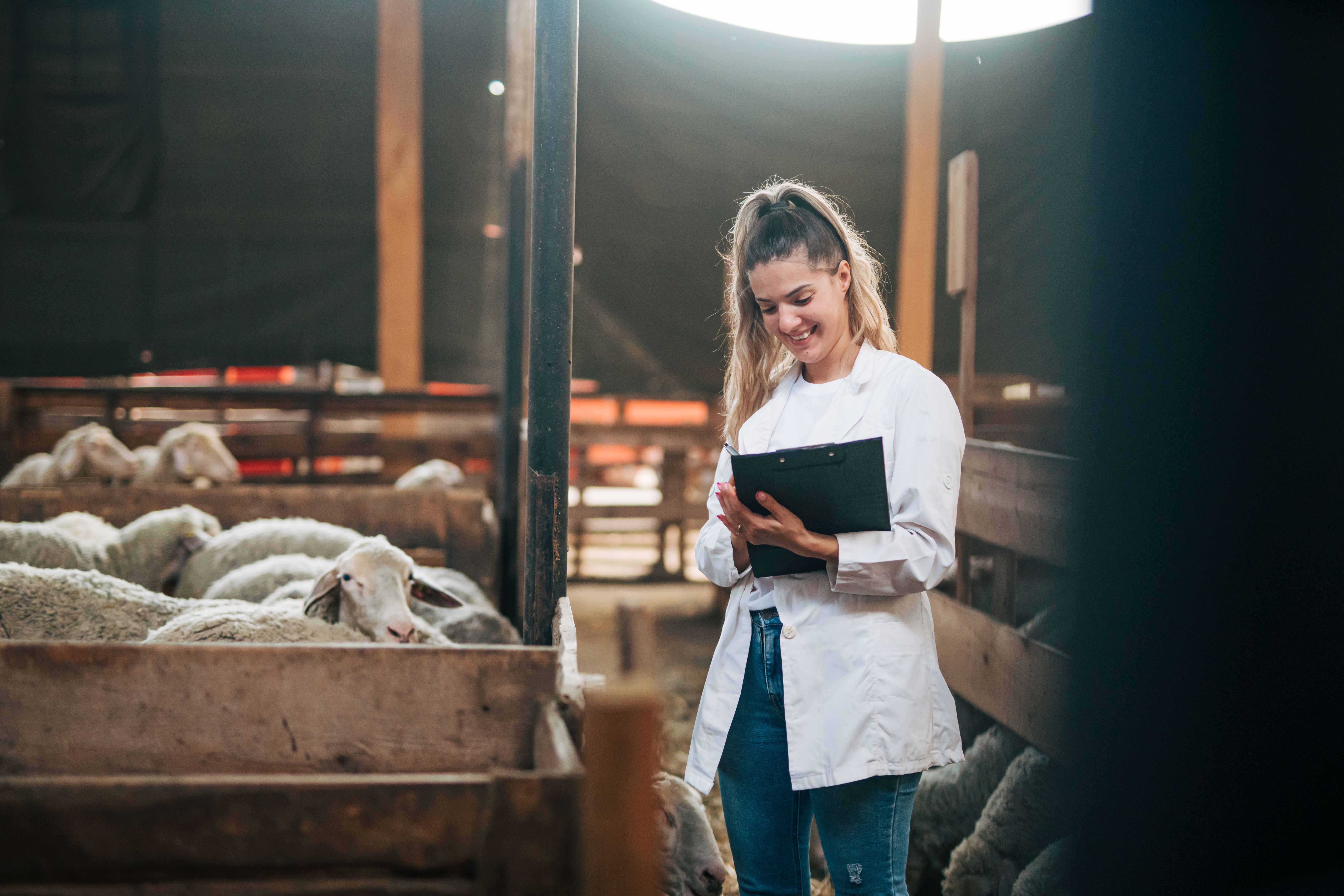 young cheerful woman veterinarian on farm holding clipboard young cheerful woman veterinarian on farm holding clipboard