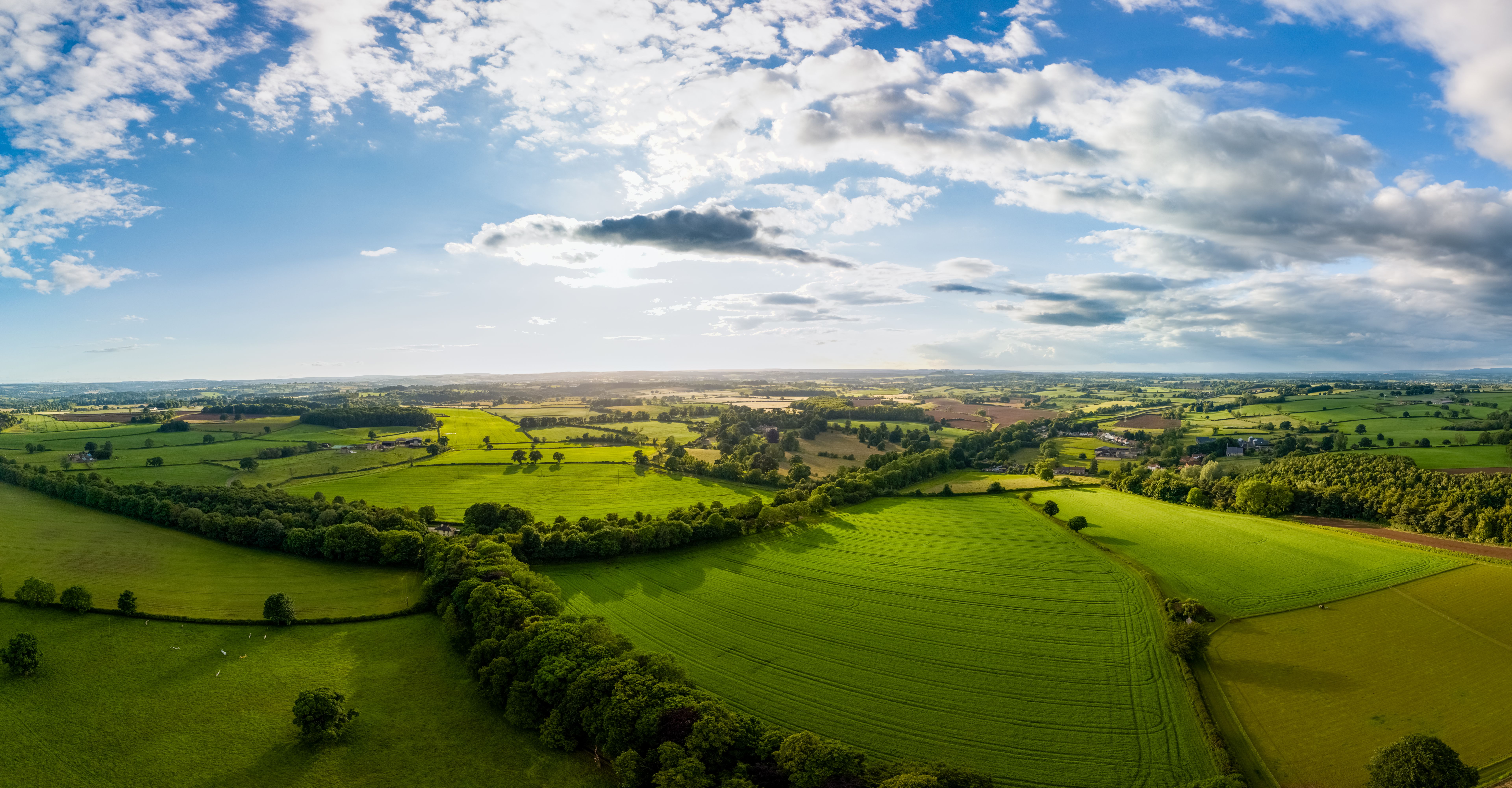 green agriculture
