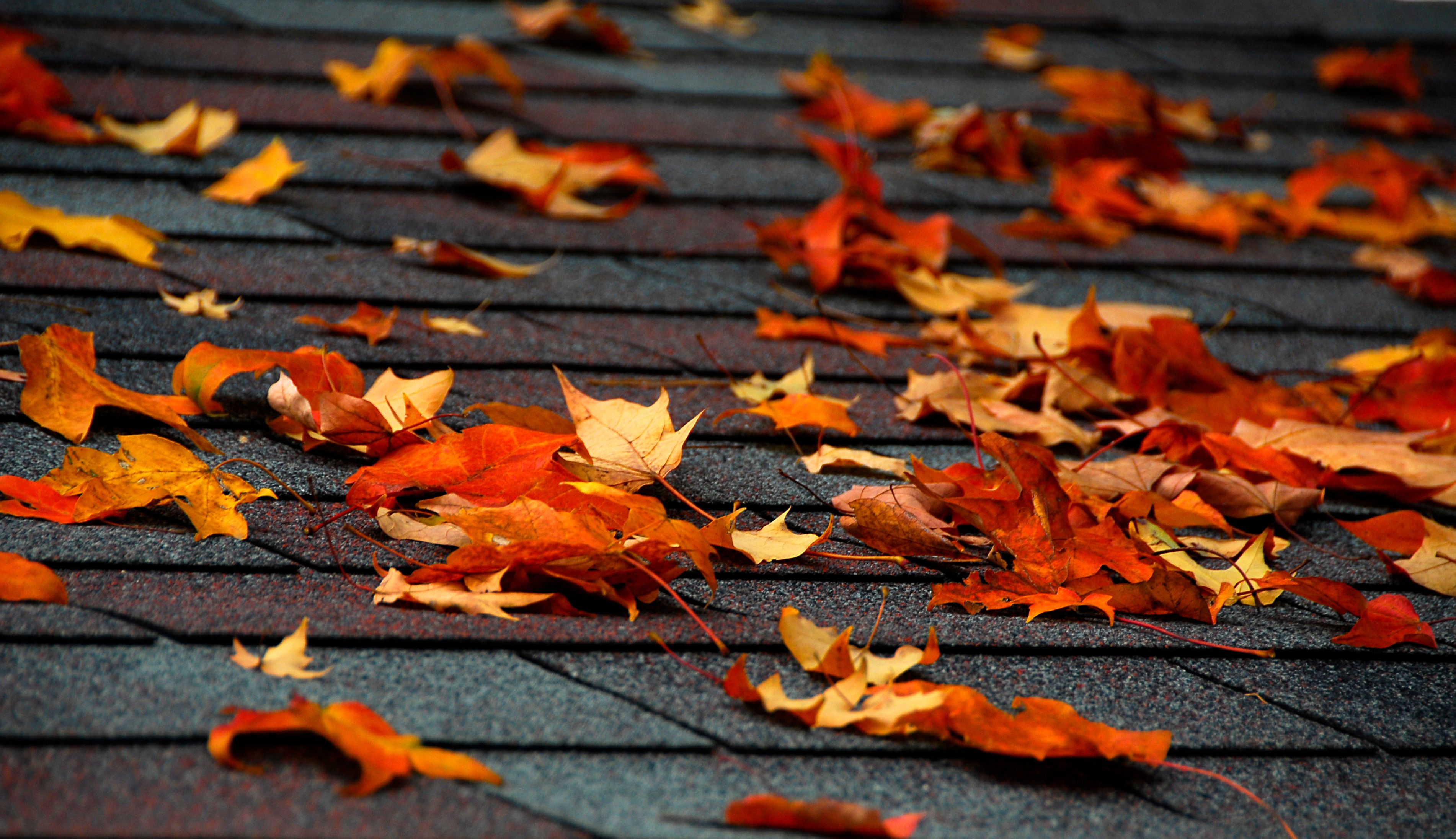 autumn home maintenance