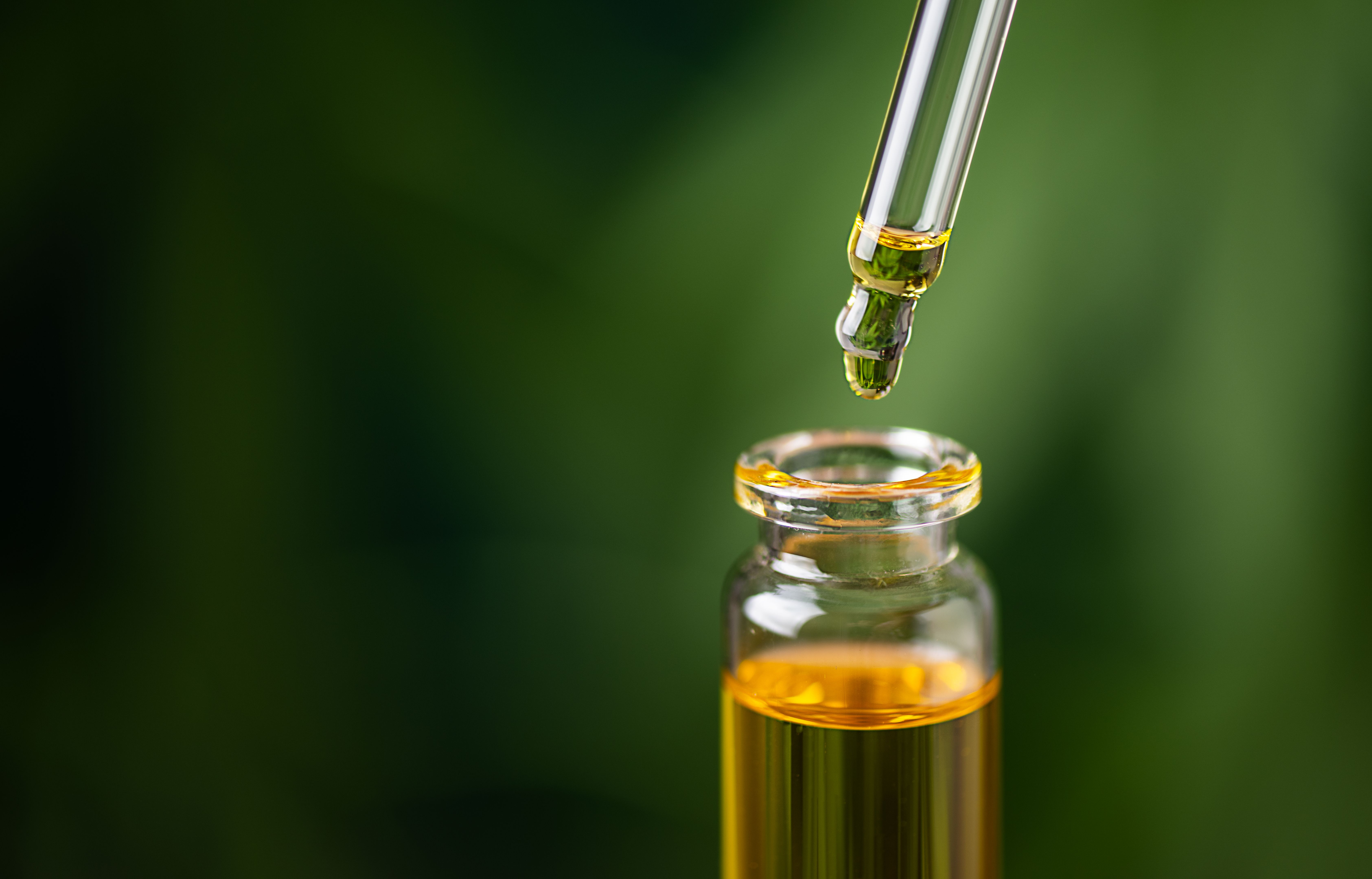 cbd oil