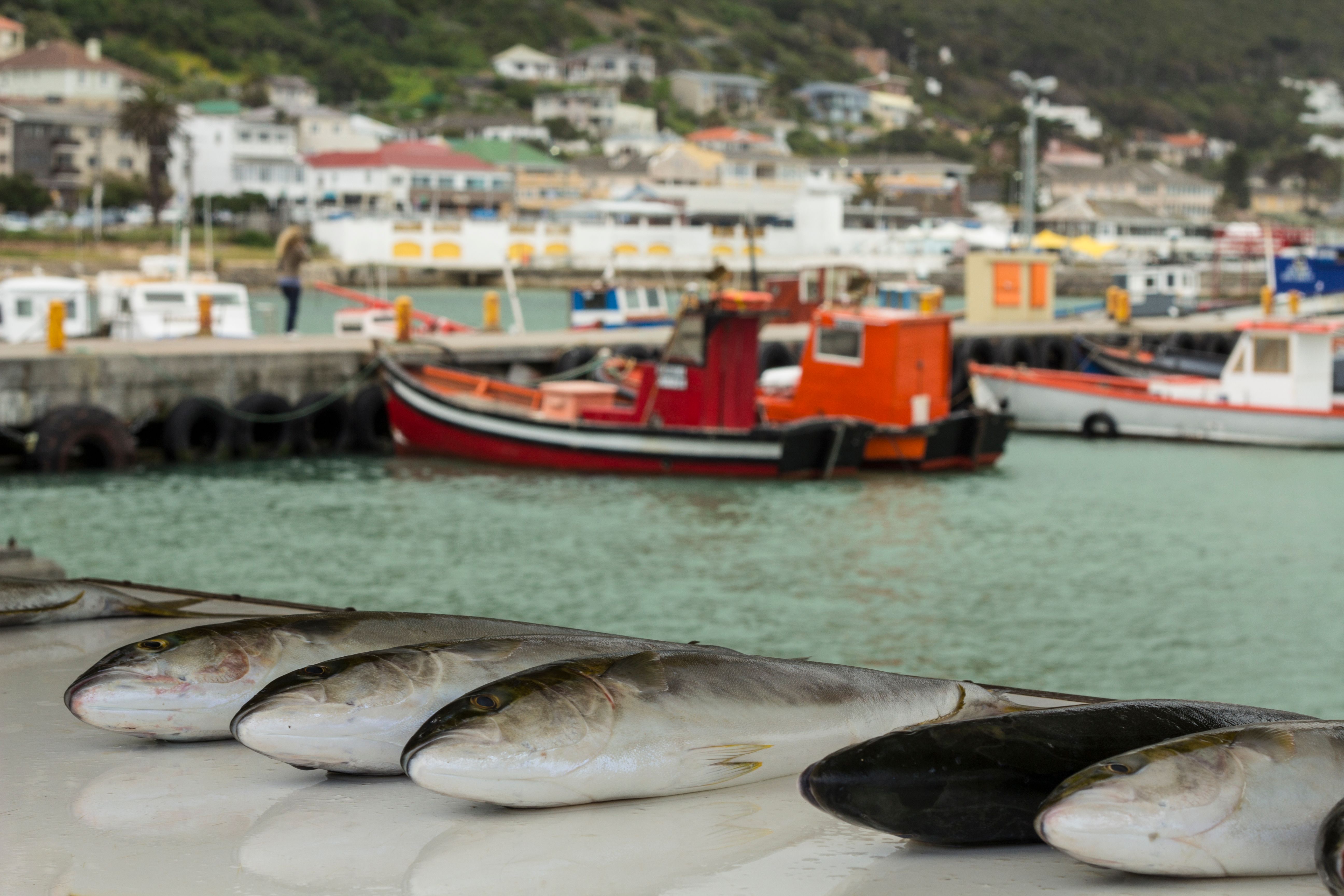 cape town seafood