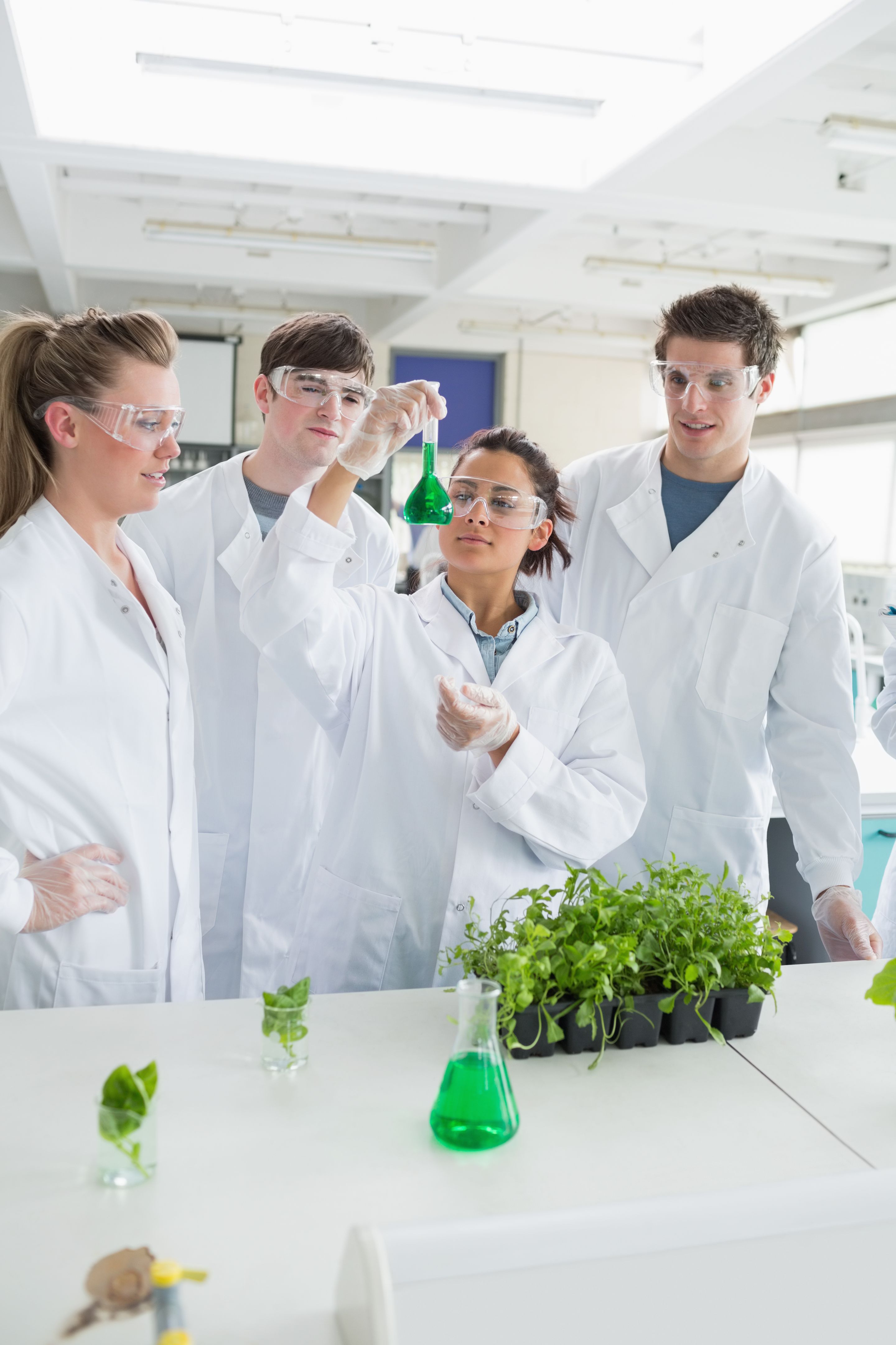 Four students doing research on plants