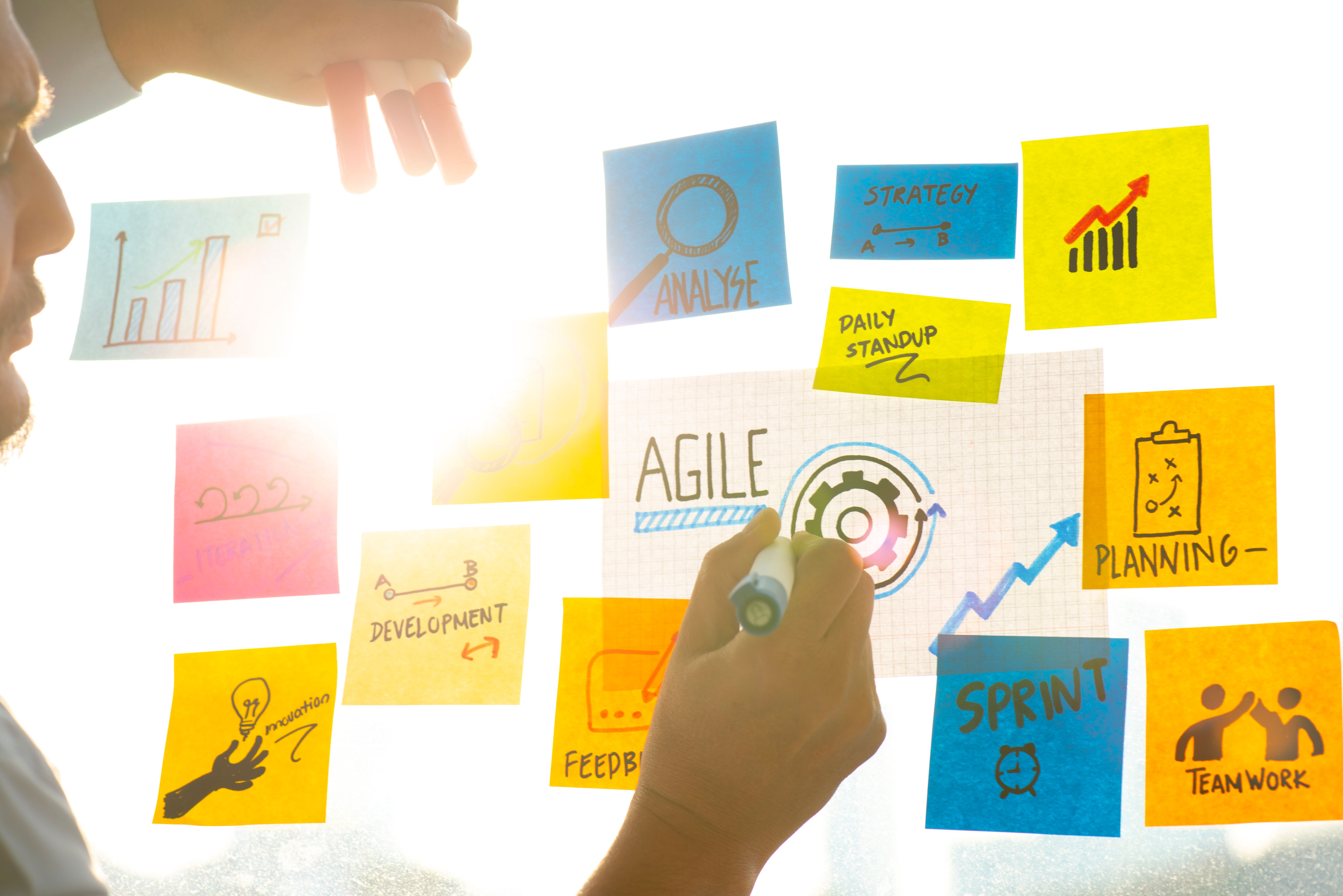 agile project management