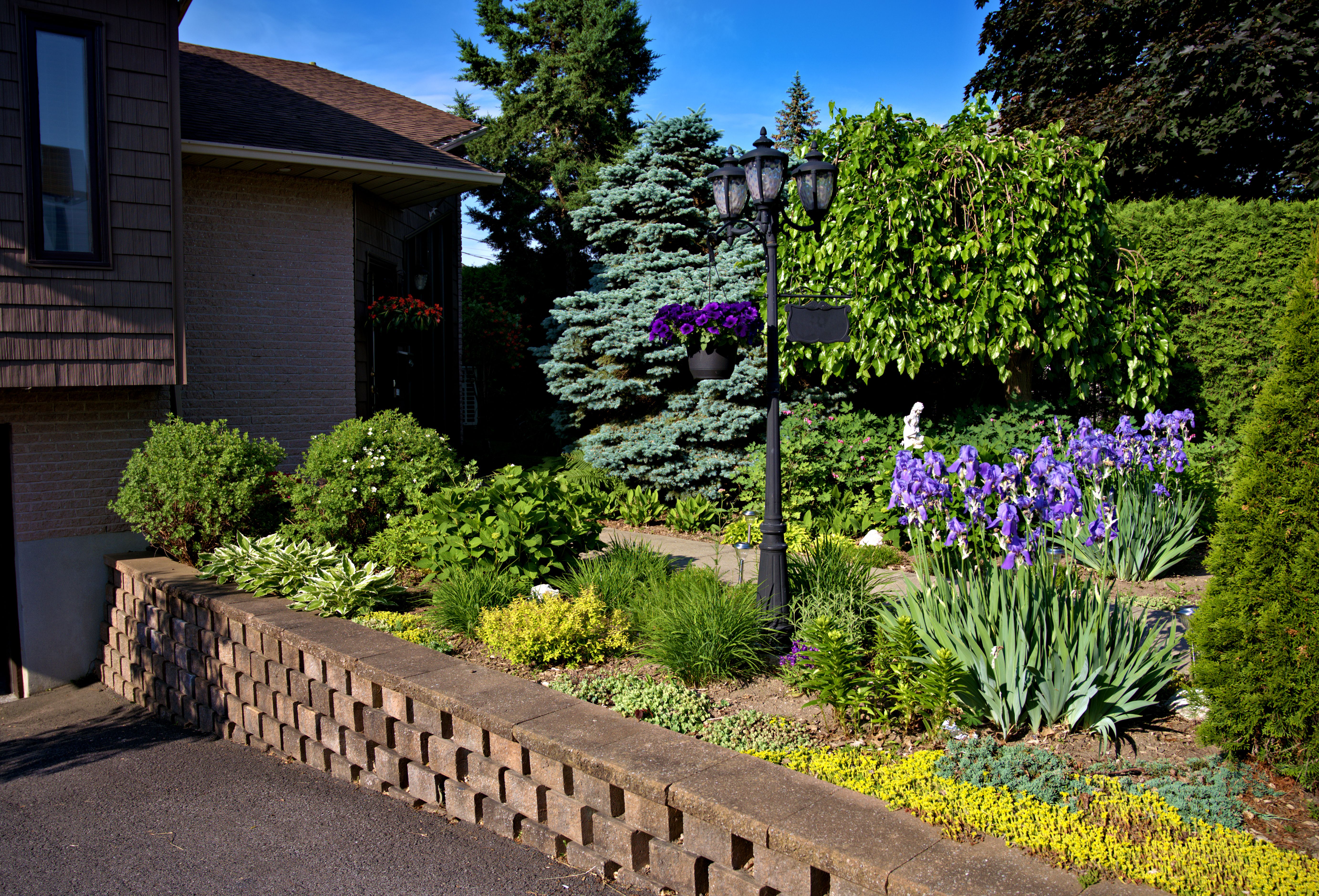 front yard landscaping