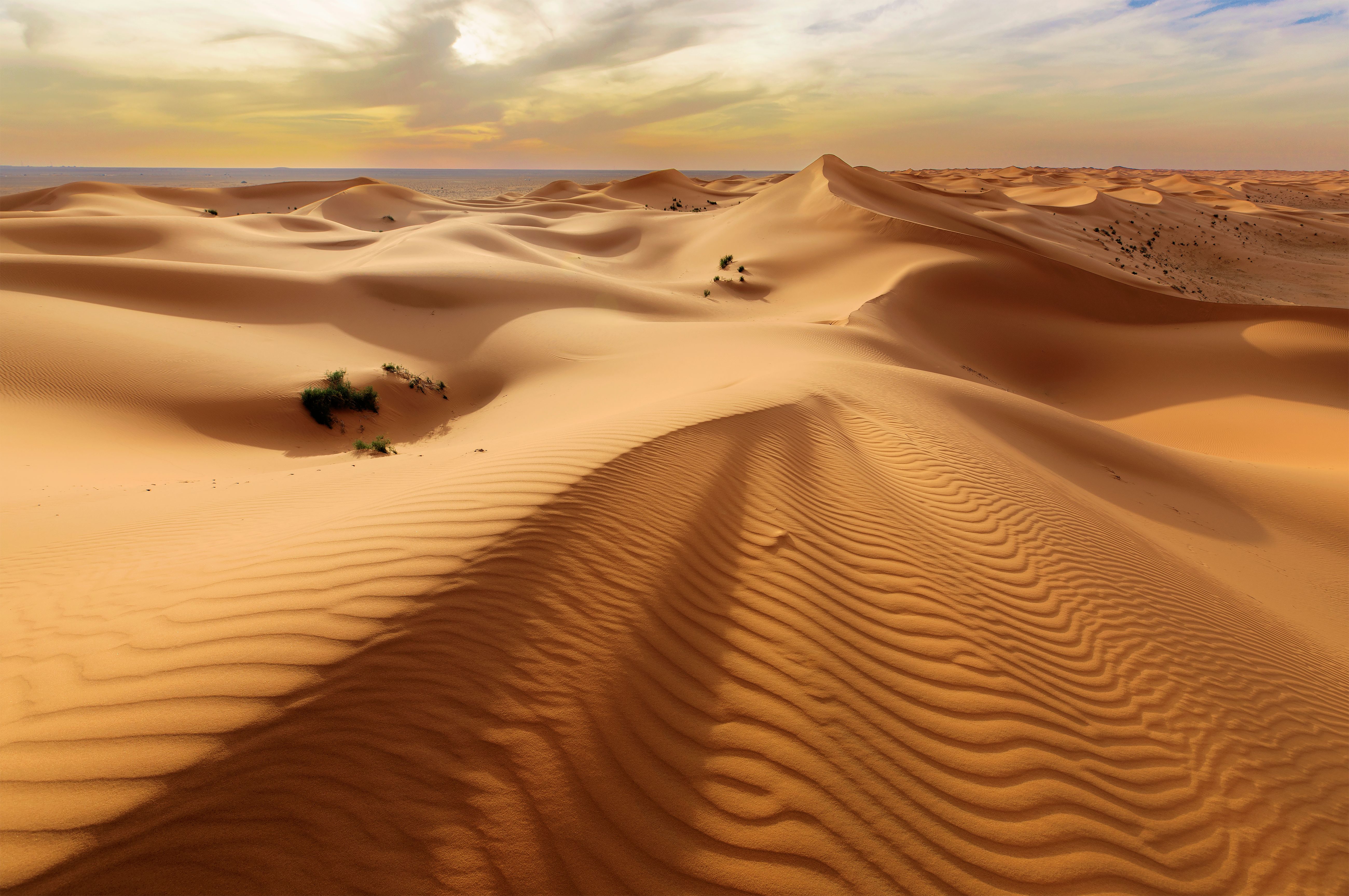 saudi arabia desert