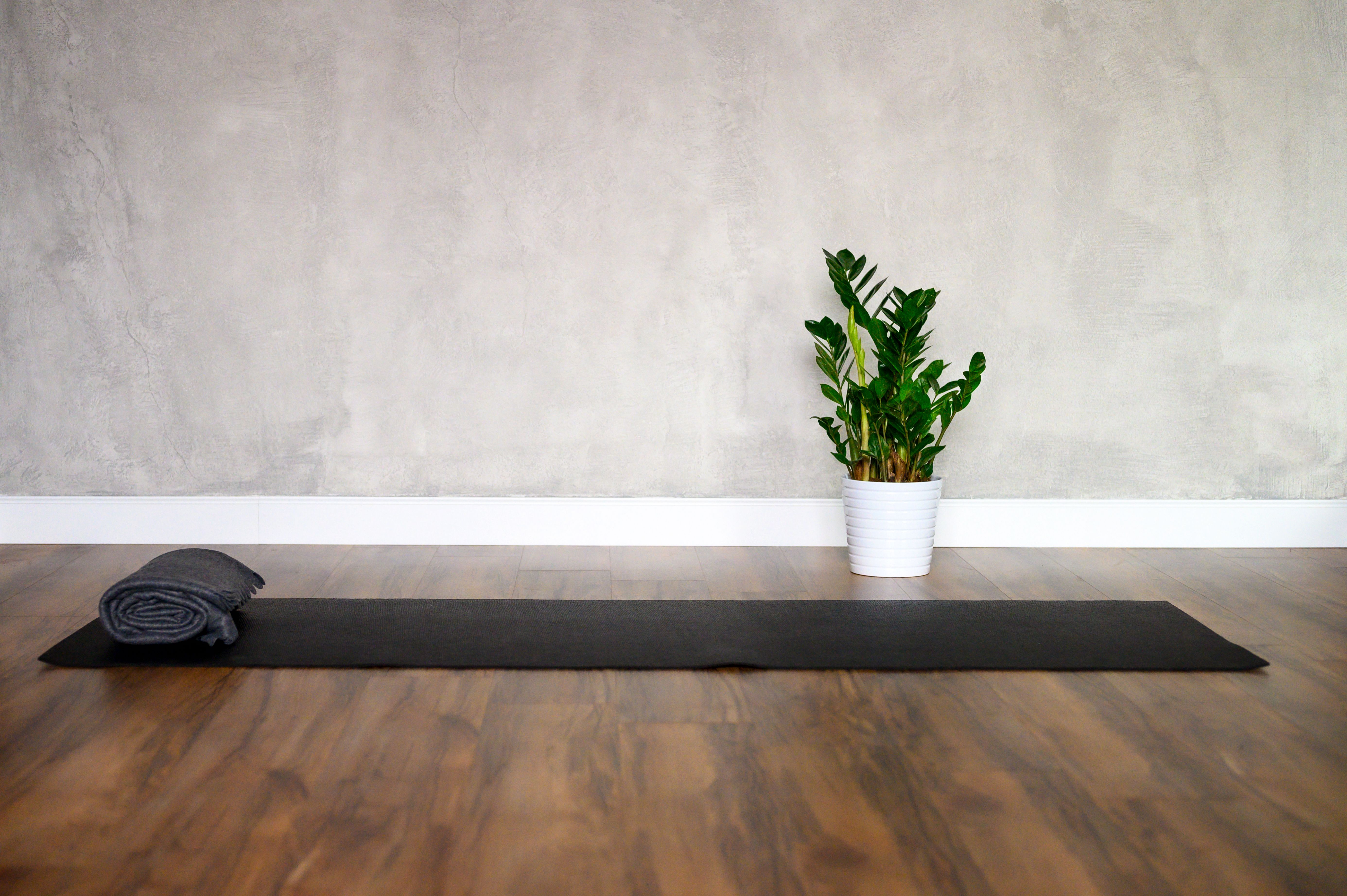 the interior of the studio room for yoga and stretching, a rubber mat and a plant zamioculcas on the wooden floor against the background of a gray concrete wall. minimal style. space for text