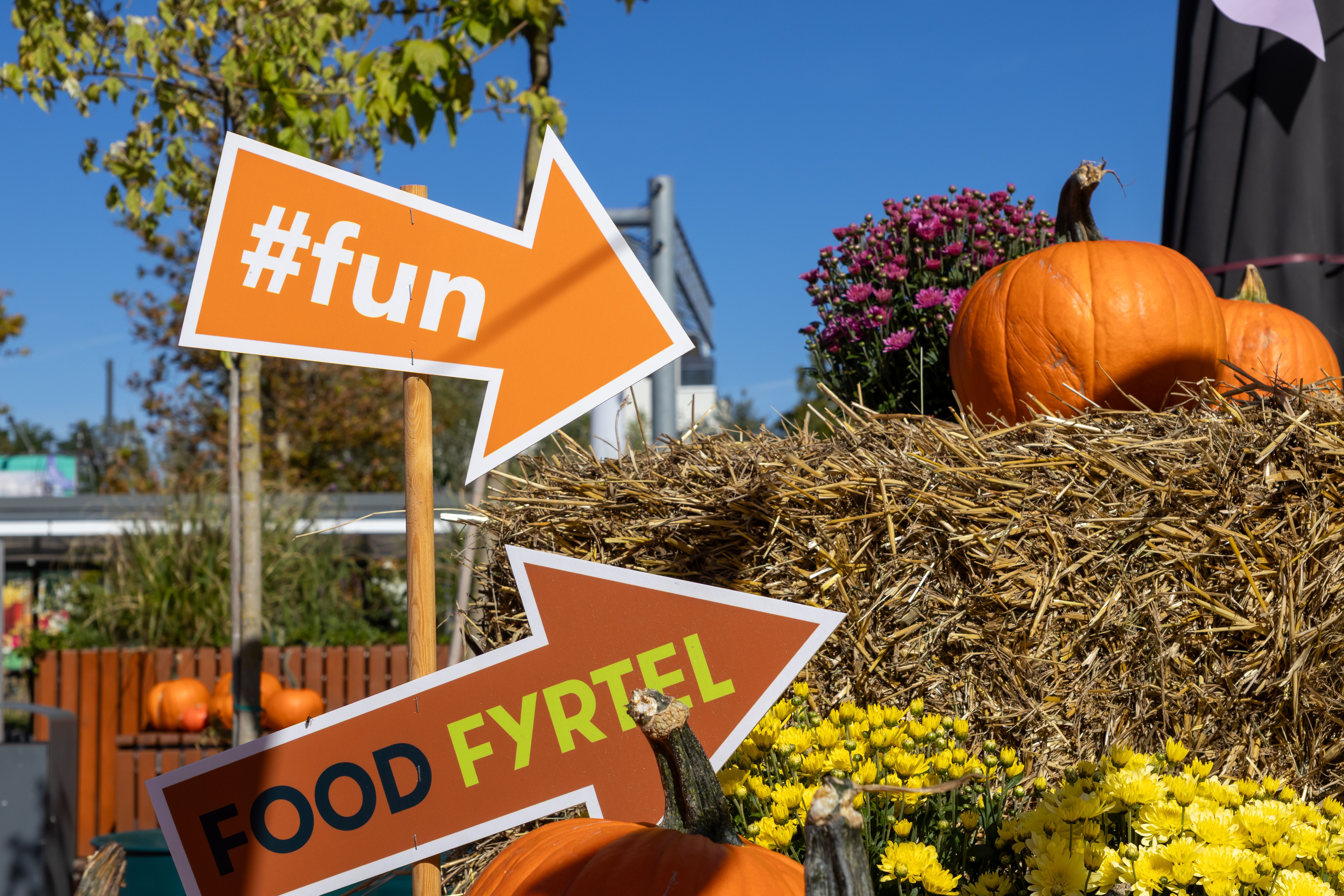 fall community event